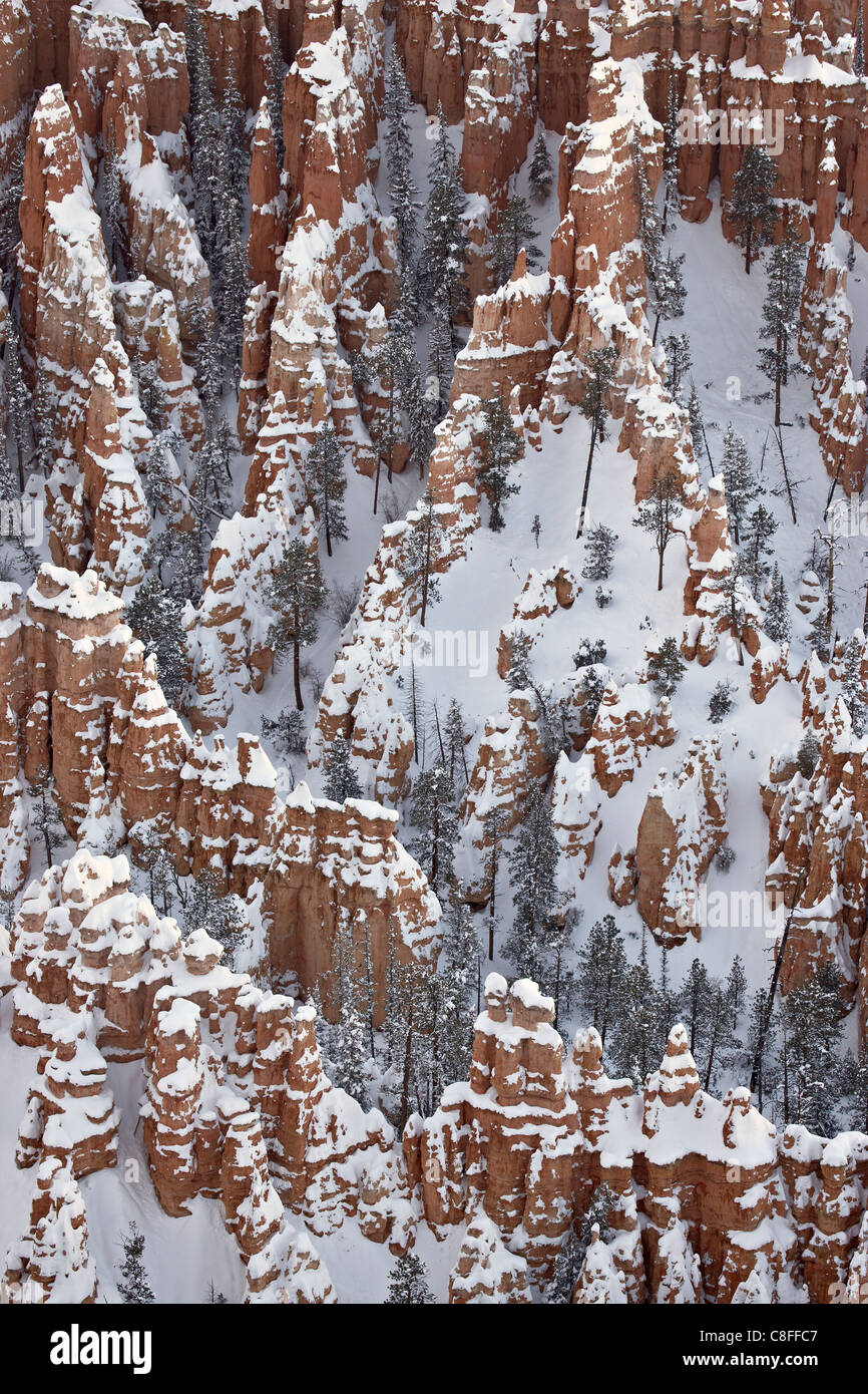 Hoodoos mit Neuschnee, Bryce-Canyon-Nationalpark, Utah, Vereinigte Staaten von Amerika Stockfoto