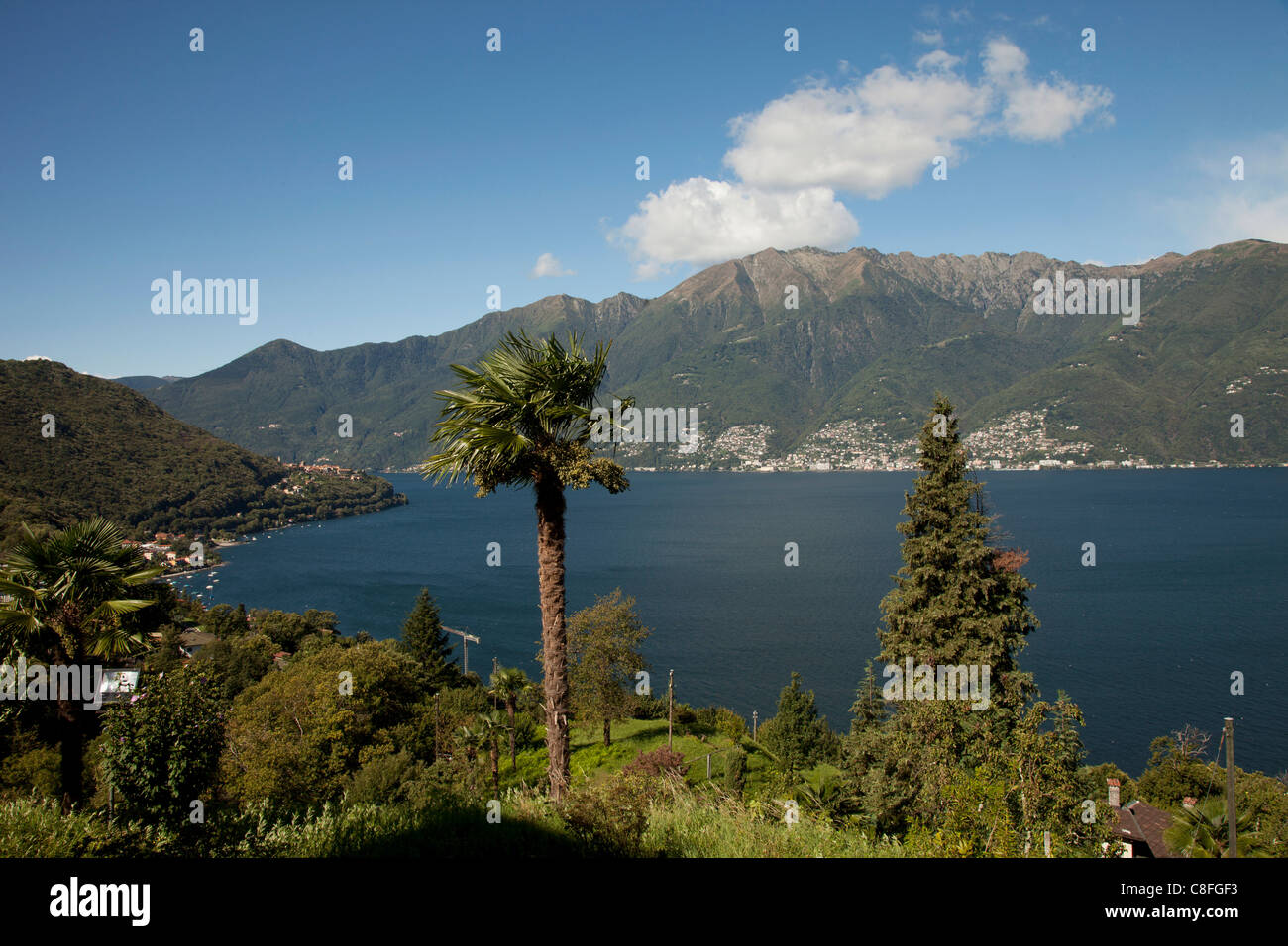Blick vom Sant Abbondio, Lago Maggiore, Kanton Tessin, Schweiz Stockfoto