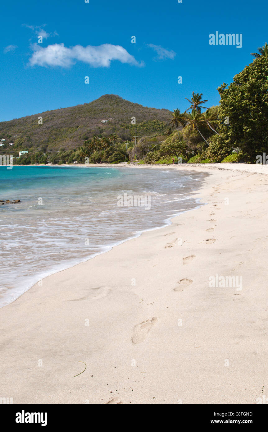 Friendship Bay Beach, Bequia, St. Vincent und die Grenadinen, Windward-Inseln, West Indies, Karibik, Mittelamerika Stockfoto