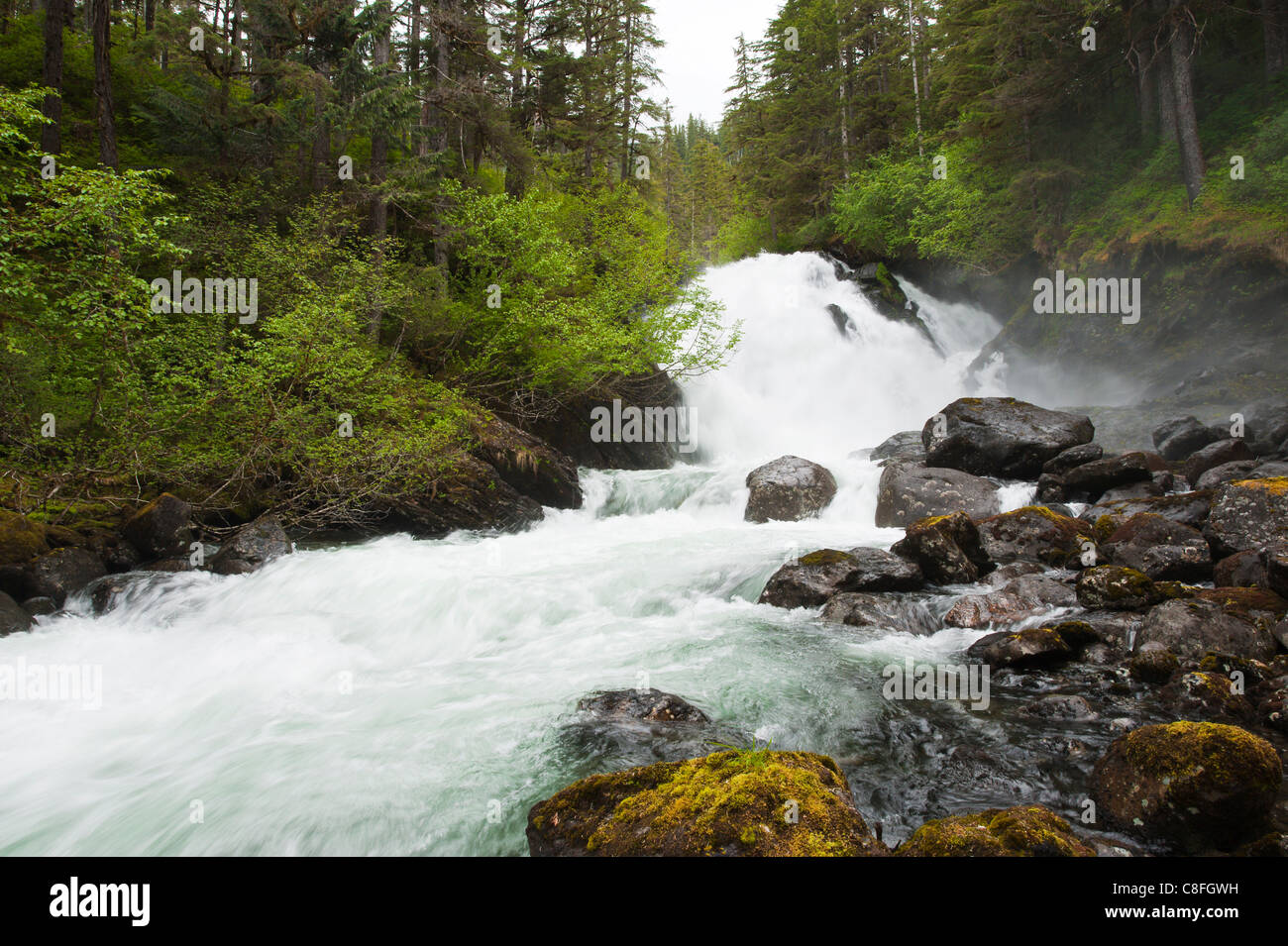 Cascade Creek, Thomas Bay Region der Southeast Alaska, Alaska, Vereinigte Staaten von Amerika Stockfoto