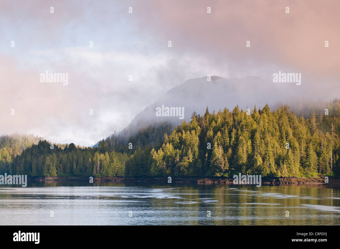 Ja Bay im Großraum Cleveland Halbinsel von Southeast Alaska, Alaska, Vereinigte Staaten von Amerika Stockfoto