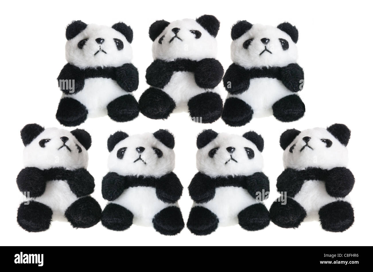 Stofftier Pandas Stockfoto