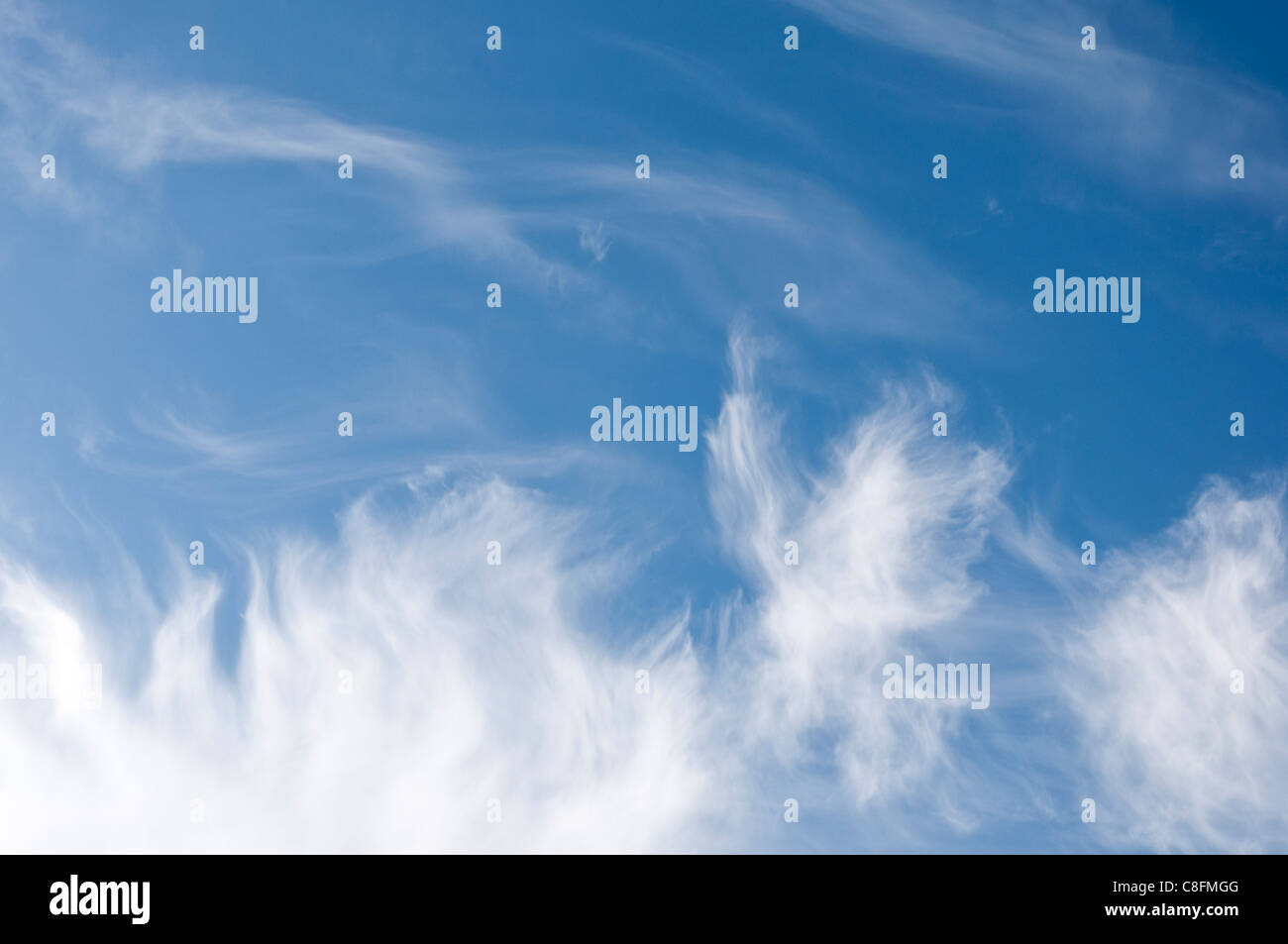 Cirruswolken. Stockfoto
