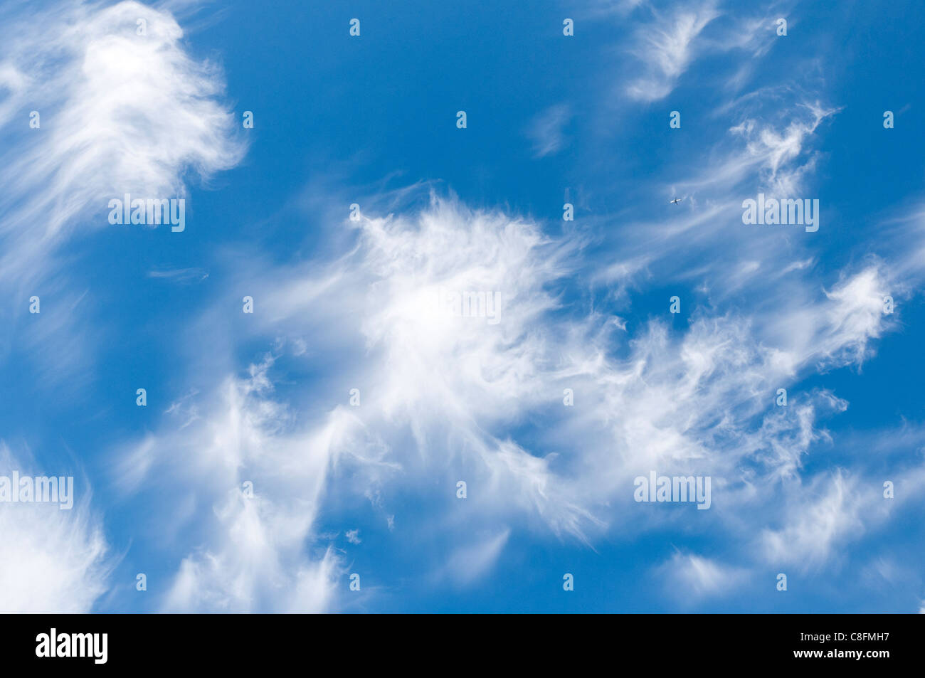 Cirruswolken. Stockfoto