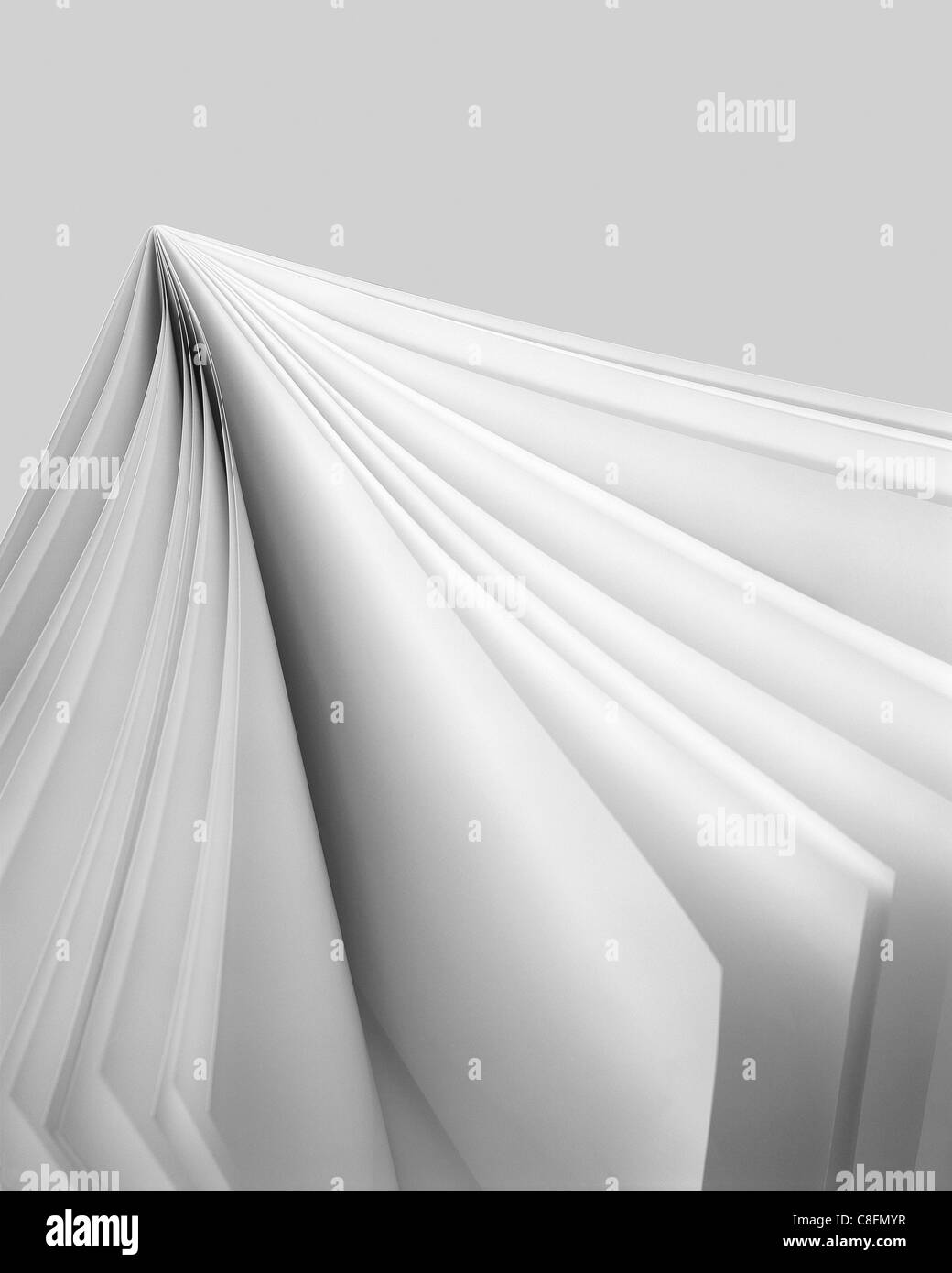 Weiße Seite in einem weißen Buch (gescannte Bild) Stockfoto