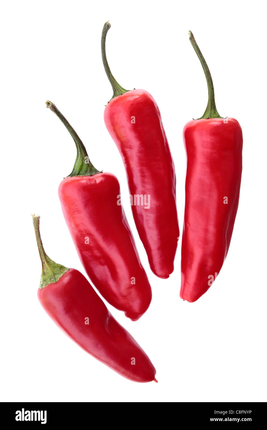 Vier rote Chilischoten Stockfoto