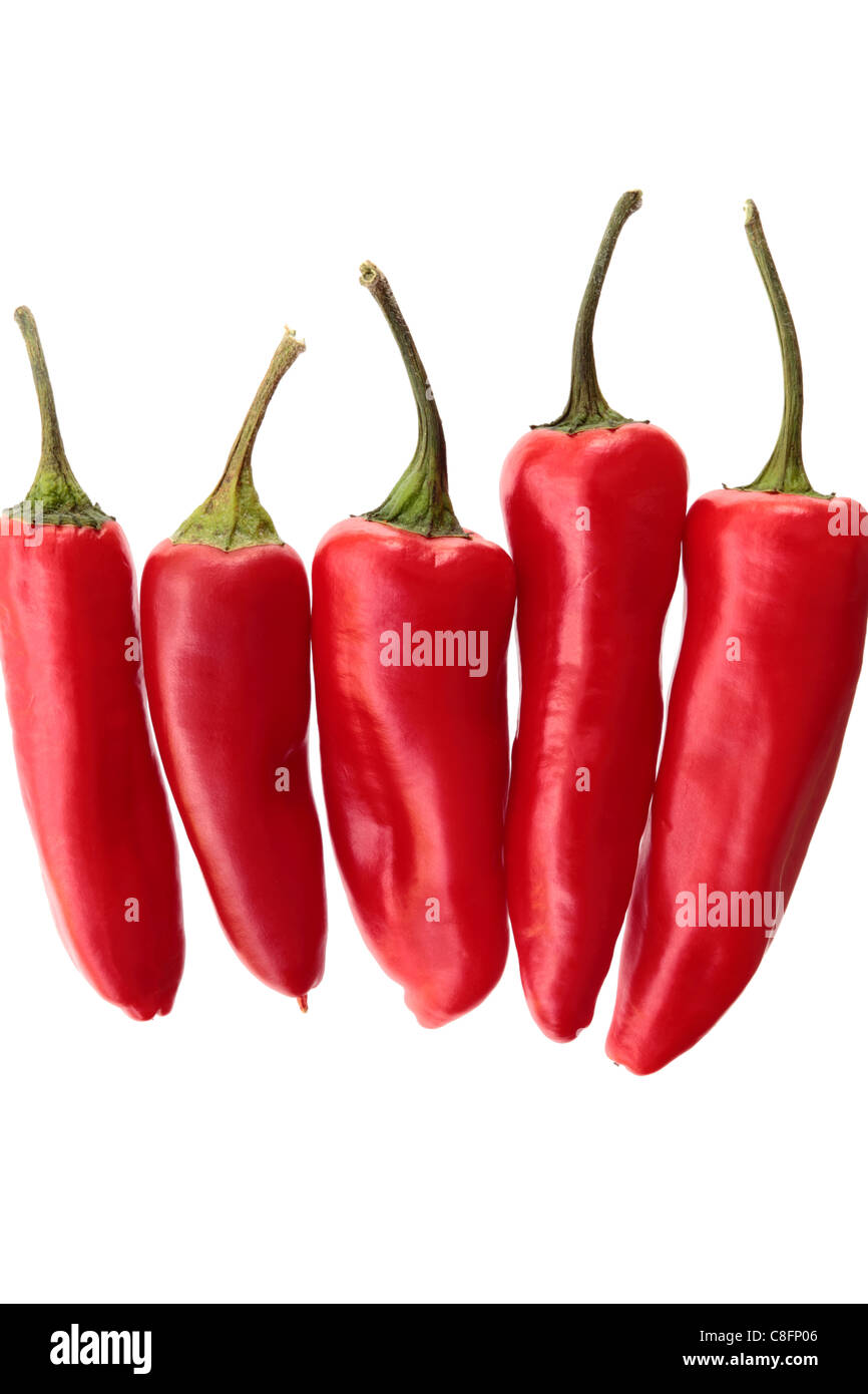 Rote Chilischoten Stockfoto