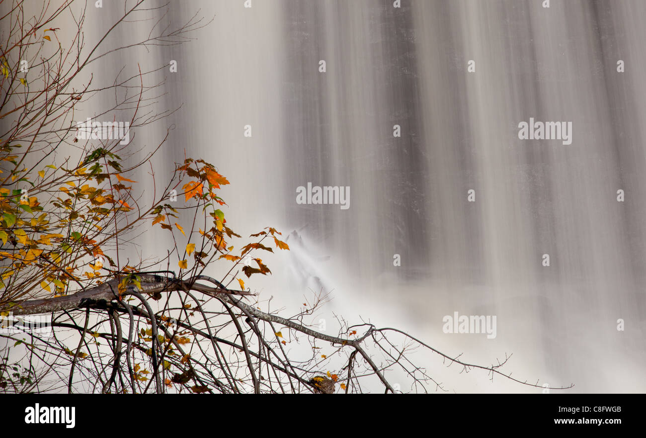 Blackwater verliebt sich in West Virginia im Herbst mit einer langen Verschlusszeit aufgenommen Stockfoto