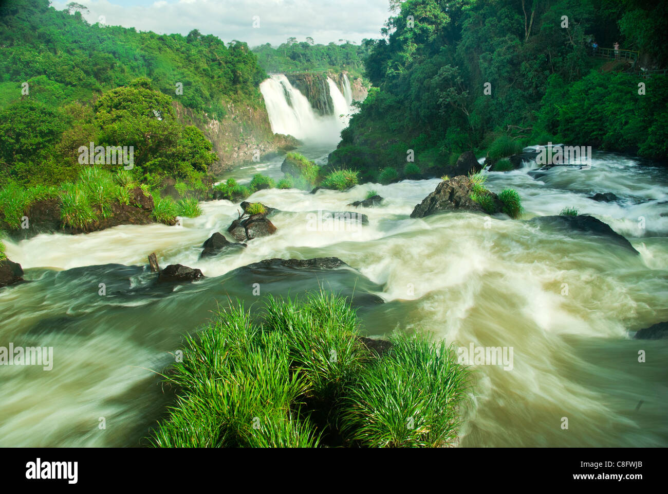 Suchen Sie flussabwärts, Iguazu, Iguaçu-Wasserfällen tun Cataratas Iguaçu, Cataratas del Iguazú. Curitiba, Paraná, Brasilien Stockfoto