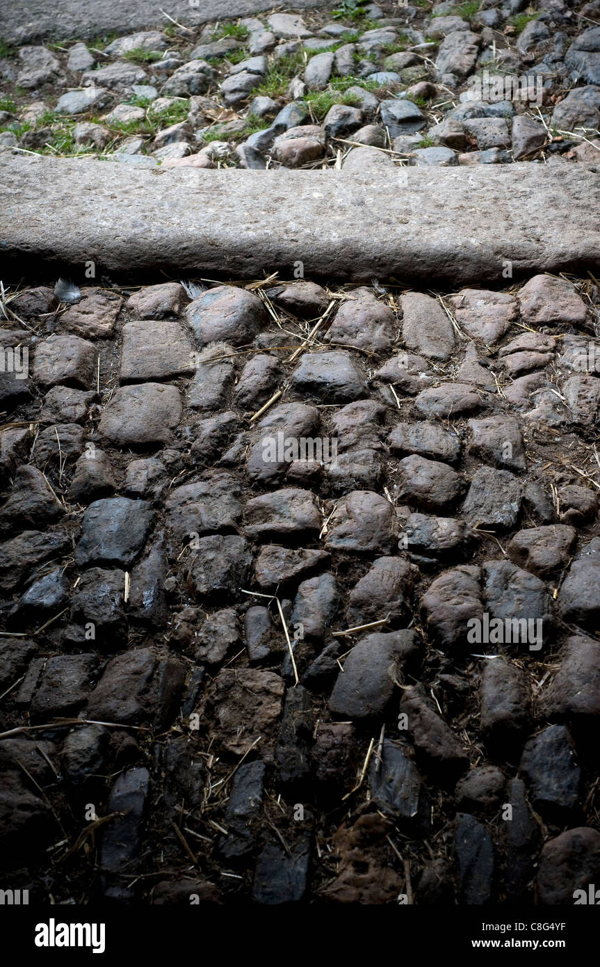 Gasse, Ziegel, Kopfsteinpflaster, Stroh dunkel, abnehmende, schmutzig, Bezirk, Europe, beleuchtete, geheimnisvoll, Geheimnis, Nacht, niemand, Stockfoto