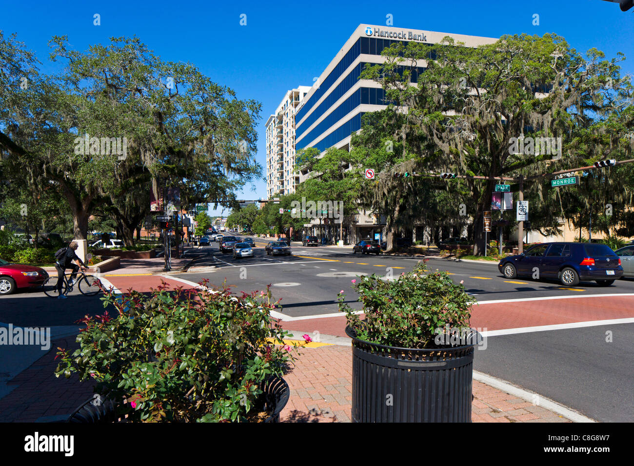 Monroe Street an der Kreuzung mit Park im Zentrum von Tallahassee, Florida, USA Stockfoto