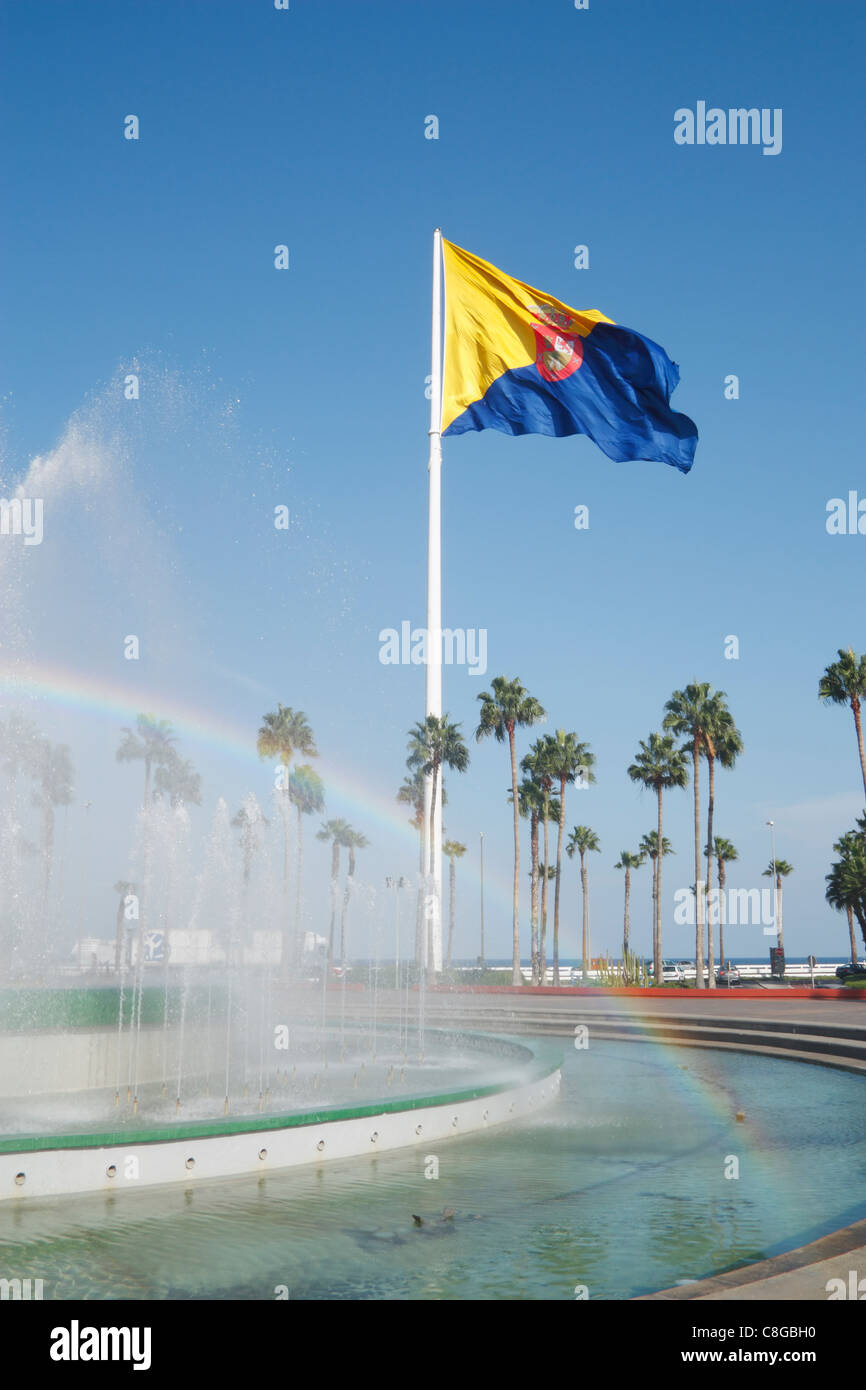 Flagge von Gran Canaria fliegen über Palmen bei Fuente Luminosa in Las Palmas, Gran Canaria, Kanarische Inseln Stockfoto