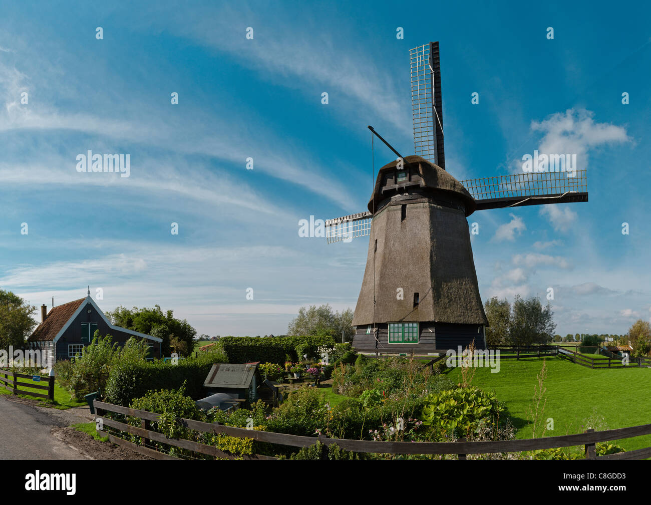 Niederlande, Europa, Holland, Zuid-Schermer, Windmühle K, Polder, De Schermer, Windmühle, Blumen, Herbst, Garten, Stockfoto