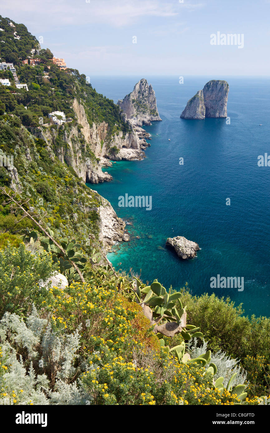 Blick auf die Faraglioni-Felsen von Gärten des Augustus auf Isle of Capri, Neapel, Kampanien, Italien Stockfoto