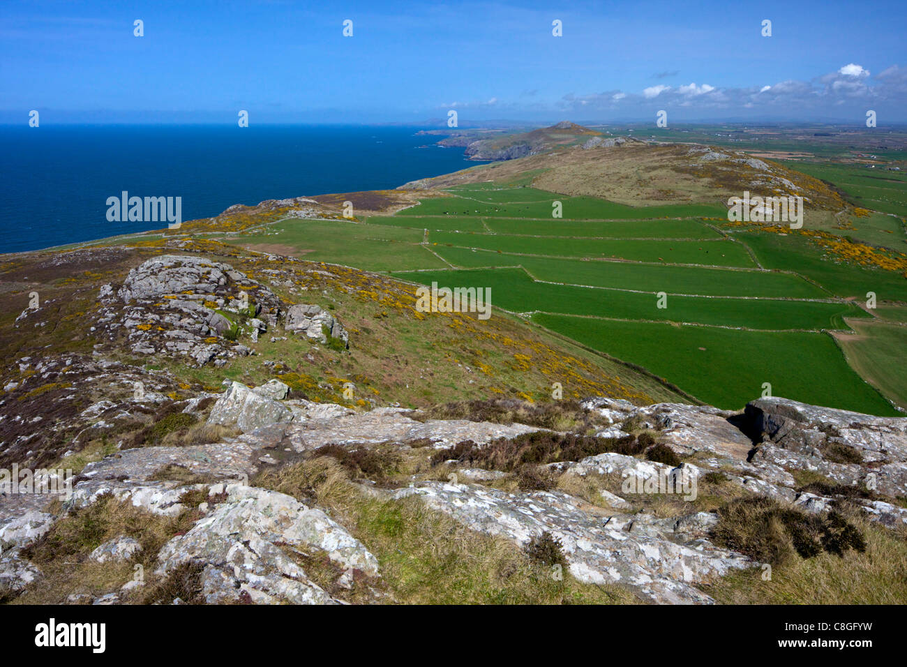 Anzeigen der nördlich des alten Feld System aus Carn Llidi, St. Davids, Pembrokeshire Nationalpark, Wales, Vereinigtes Königreich Stockfoto