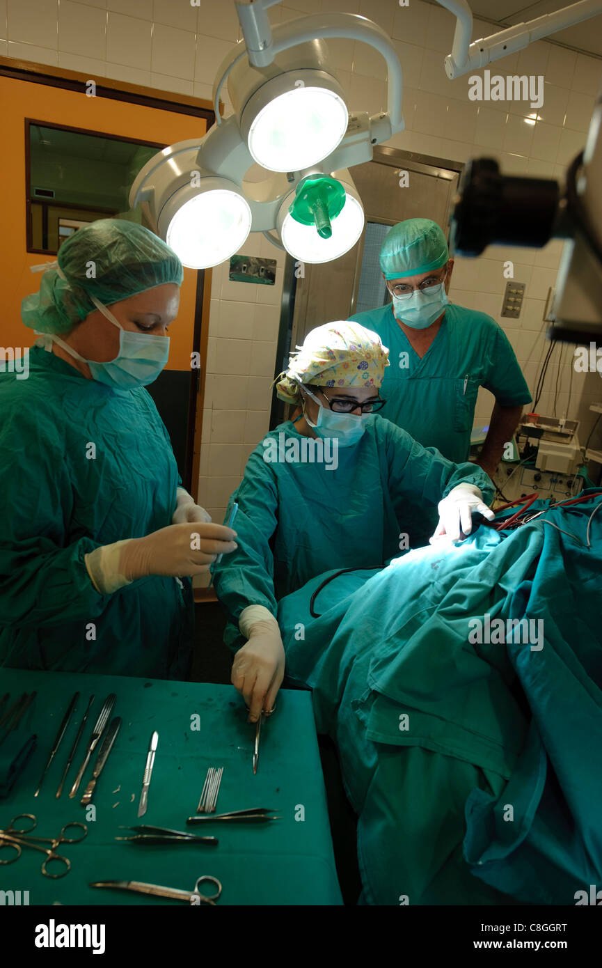 Ärzte der Ohr-Chirurgie im OP-Saal Stockfoto