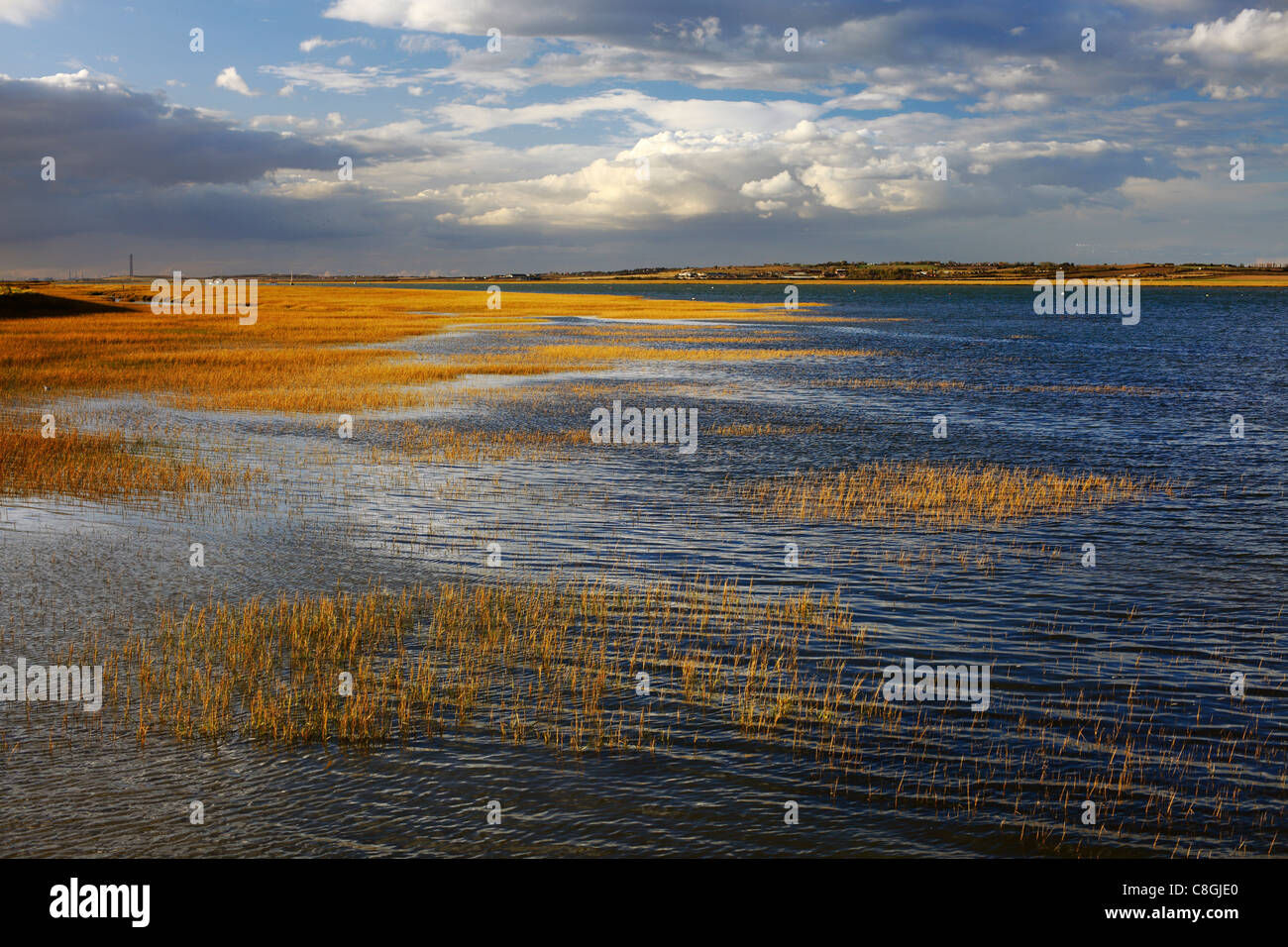 Fluß Swale Seelandschaft. Stockfoto