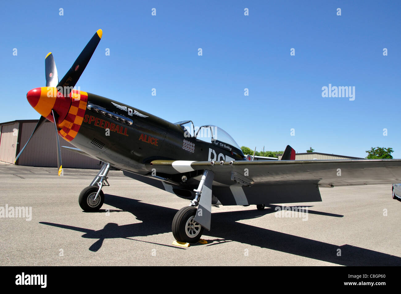 "Speedball Alice", P - 51D Mustang WW2 Kampfflugzeuge im Warhawk Aviation Museum Stockfoto