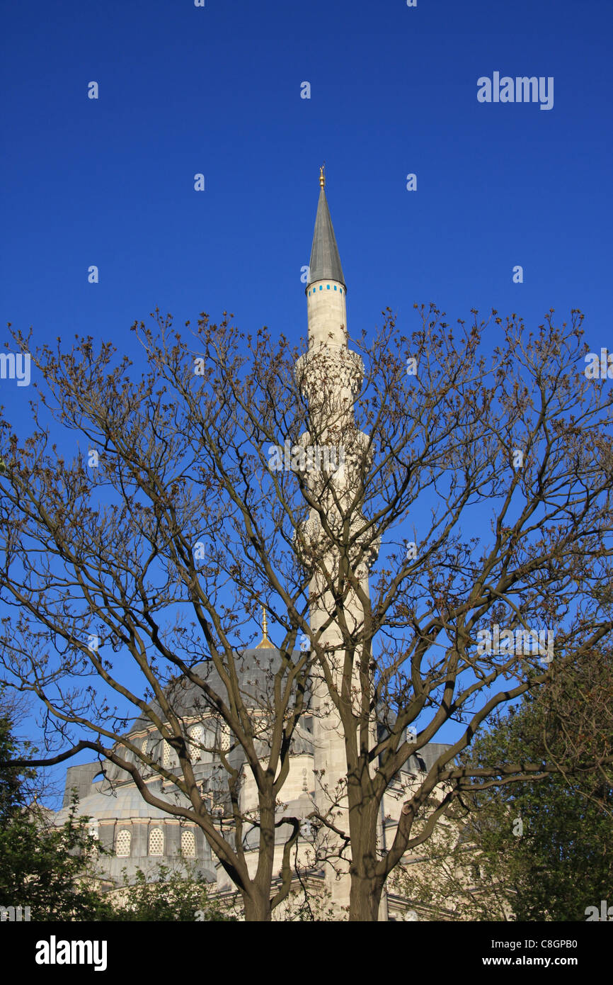 Istanbul, Türkei, Moschee, Sultan Süleyman, Minarett, Baum Stockfoto
