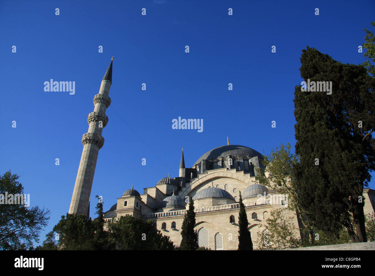 Istanbul, Türkei, Moschee, Sultan Süleyman, Minarett, Baum Stockfoto