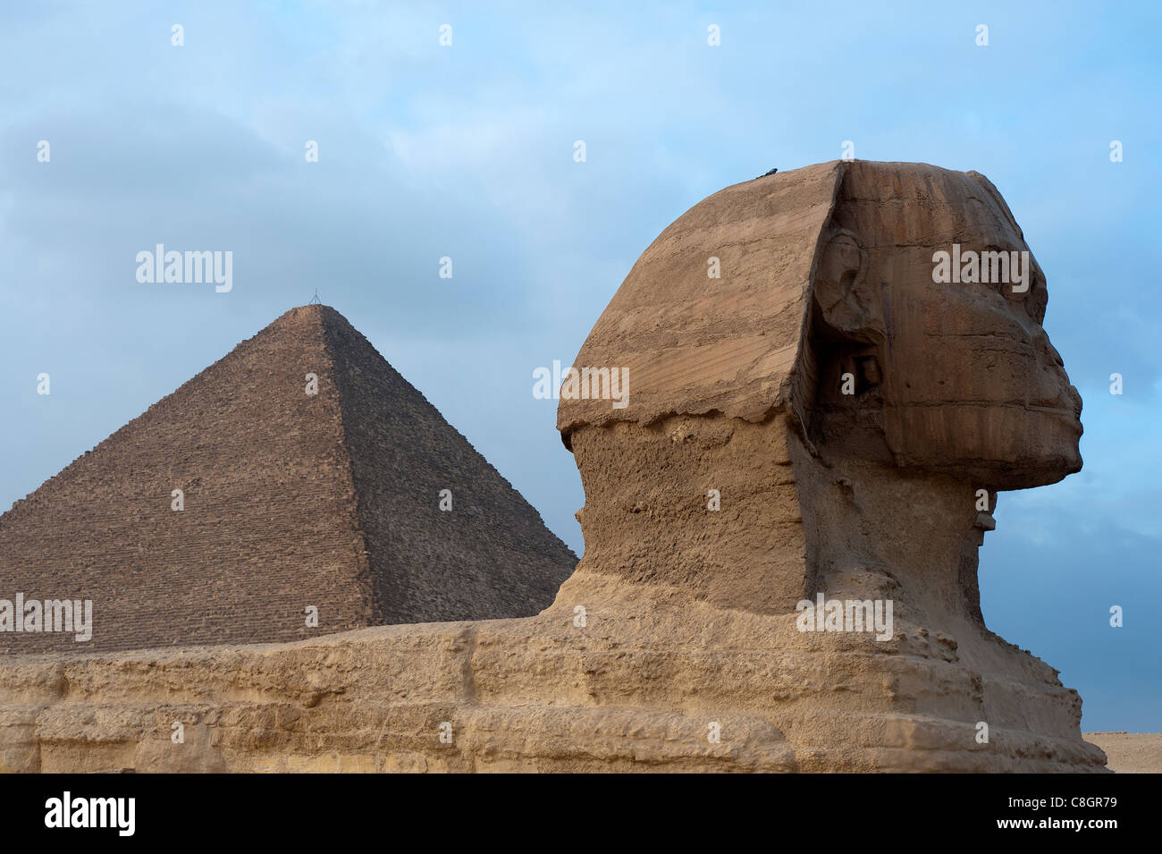 Sphinx und Cheops-Pyramide in Gizeh, Kairo, Ägypten Stockfoto