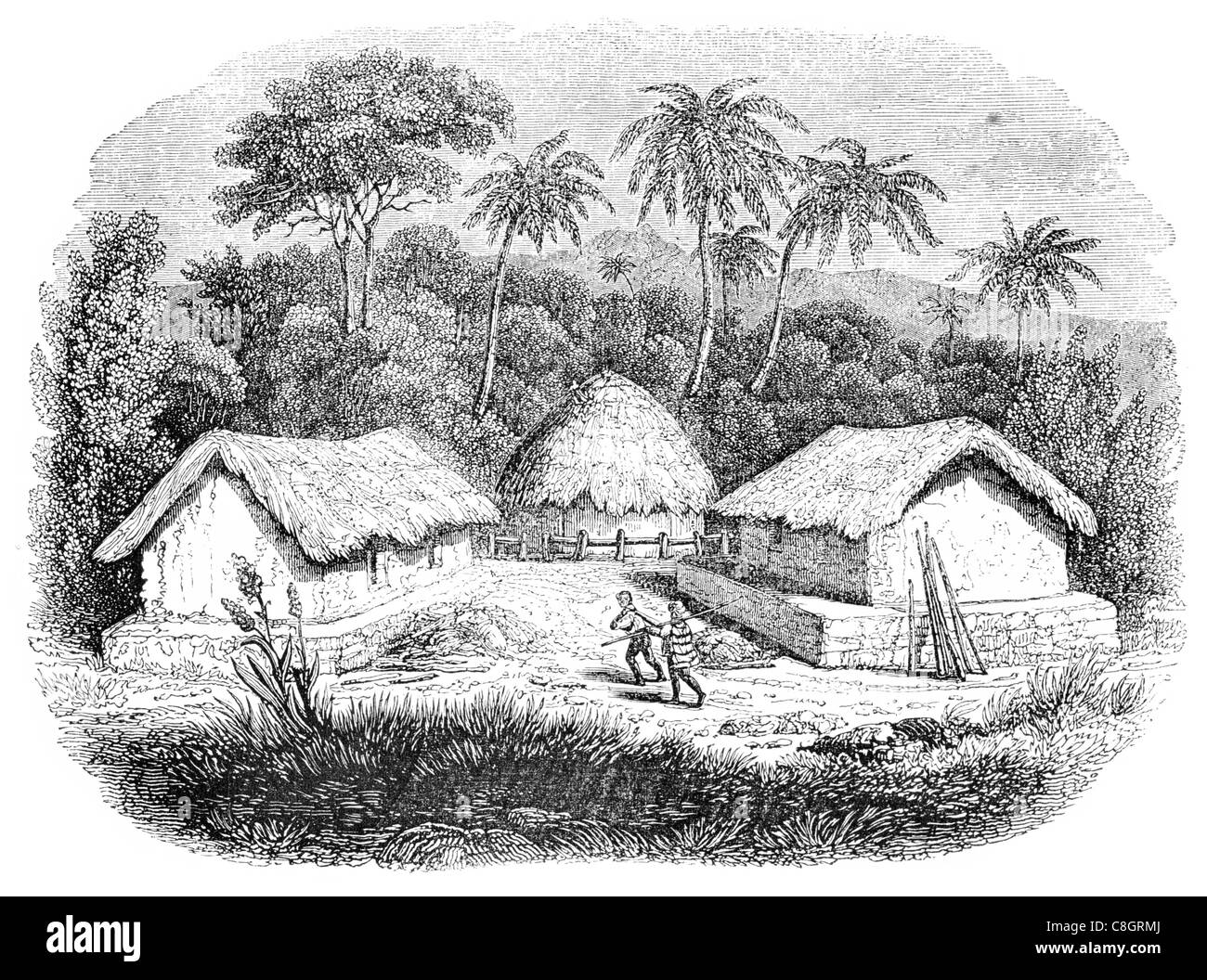 Hütten-Insel Ceylon Sri Lanka Hütte Rohöl Tierheim Wohnung Haus Rasen Palm Schlamm Nomadenkultur Wildnis Dschungel Stockfoto