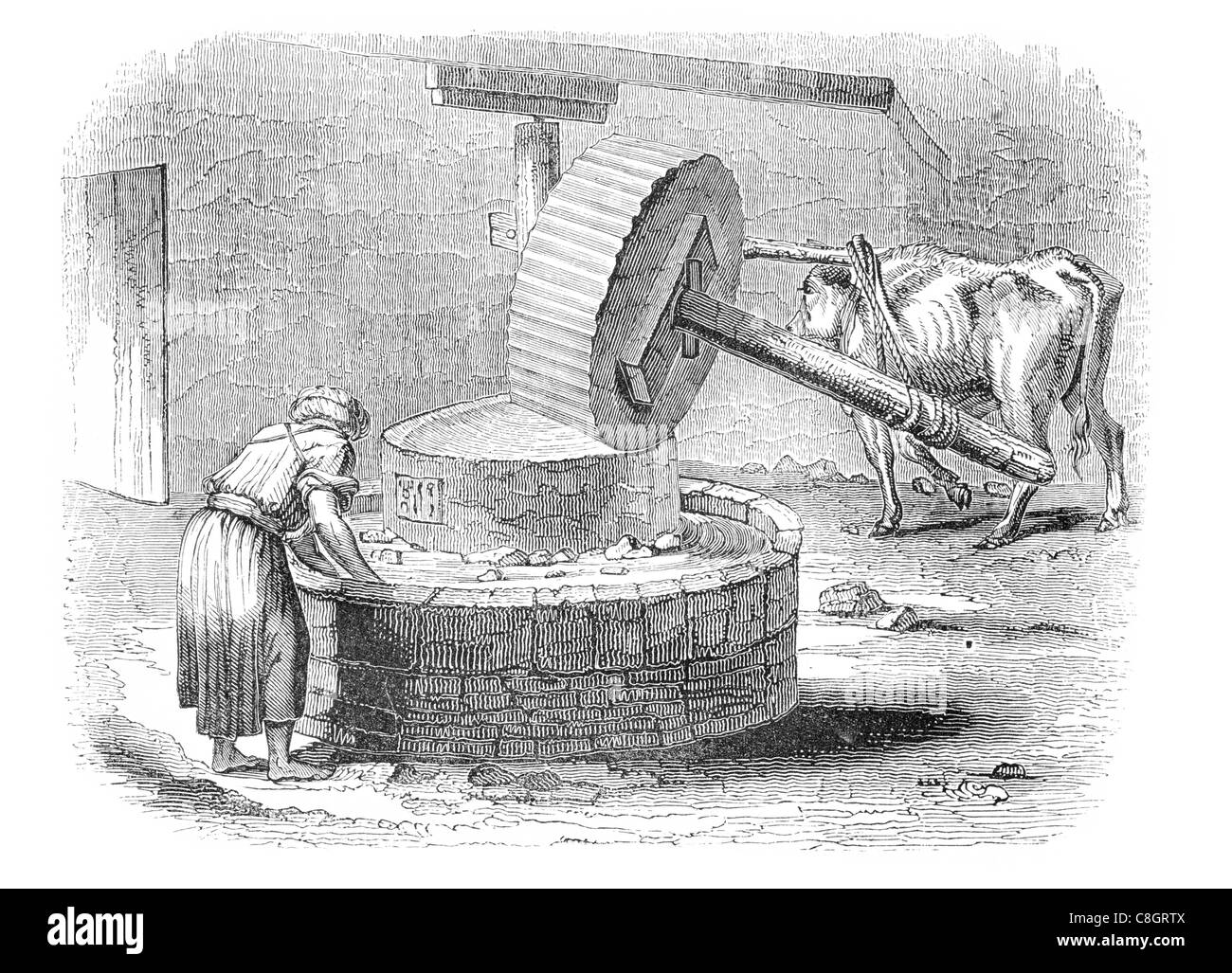 Feinen Kalk Mühle bei Cairo Workshop Kuh Rad Fräsen Schleifen Stein Kies bauen Materialkonstruktion Zement Stockfoto