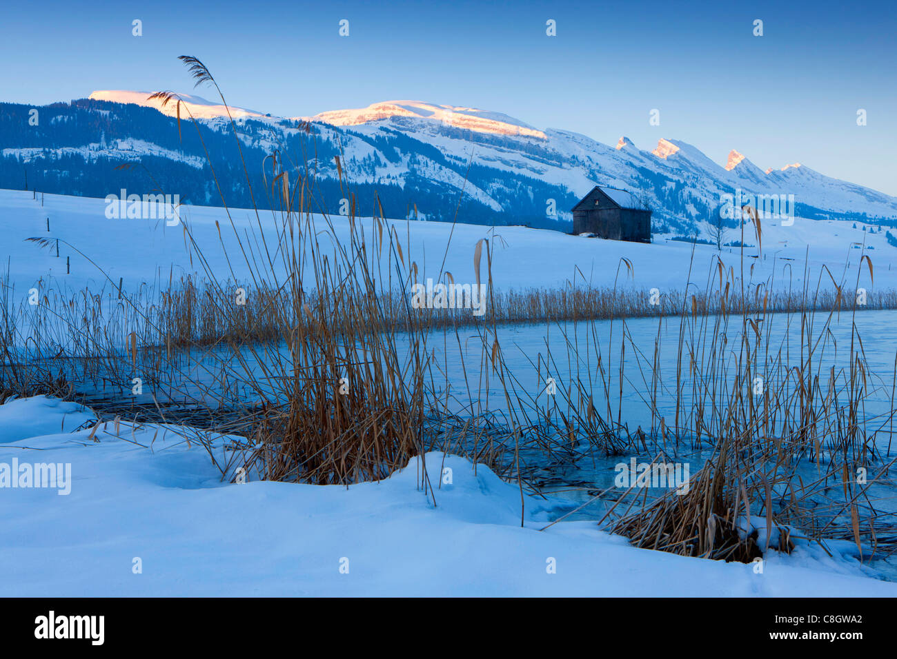 Schönenbodensee, Schweiz, Europa, Kanton St. Gallen, Toggenburg, Teich