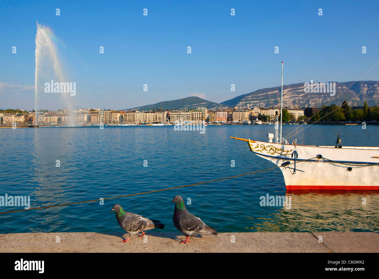 Genf, Schweiz, Europa, Kanton Genf, Stadt, Stadt, Häuser, Wohnungen, Hafen, Hafen, Brunnen, jet d ' eau, Genfer, See, Leman, Stockfoto