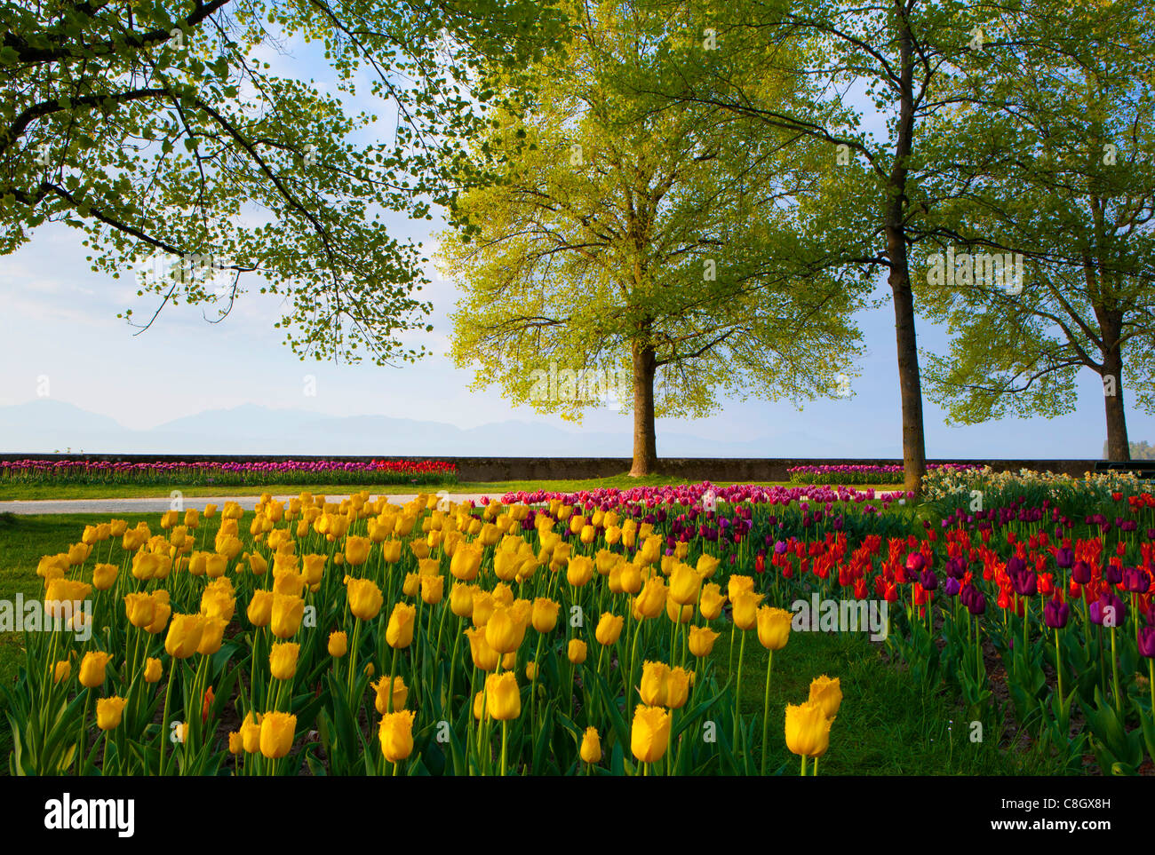 Morges Switzerland Stockfotos und -bilder Kaufen - Alamy