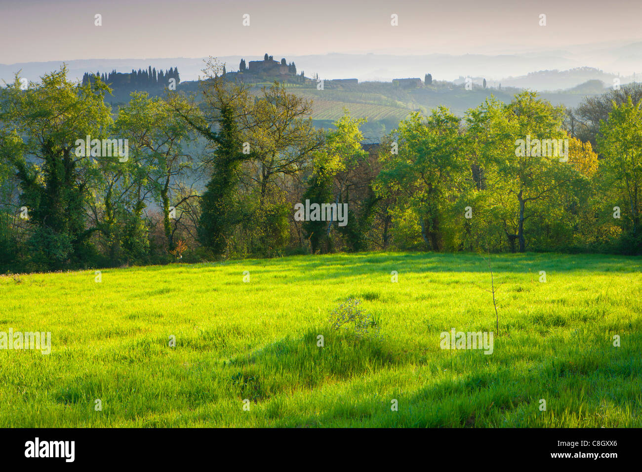 Casaglia, Italien, Europa, Toskana, Felder, Holz, Wald, Hügel, Morgenlicht, Frühling, Häuser, Wohnungen, Herrenhäuser Stockfoto
