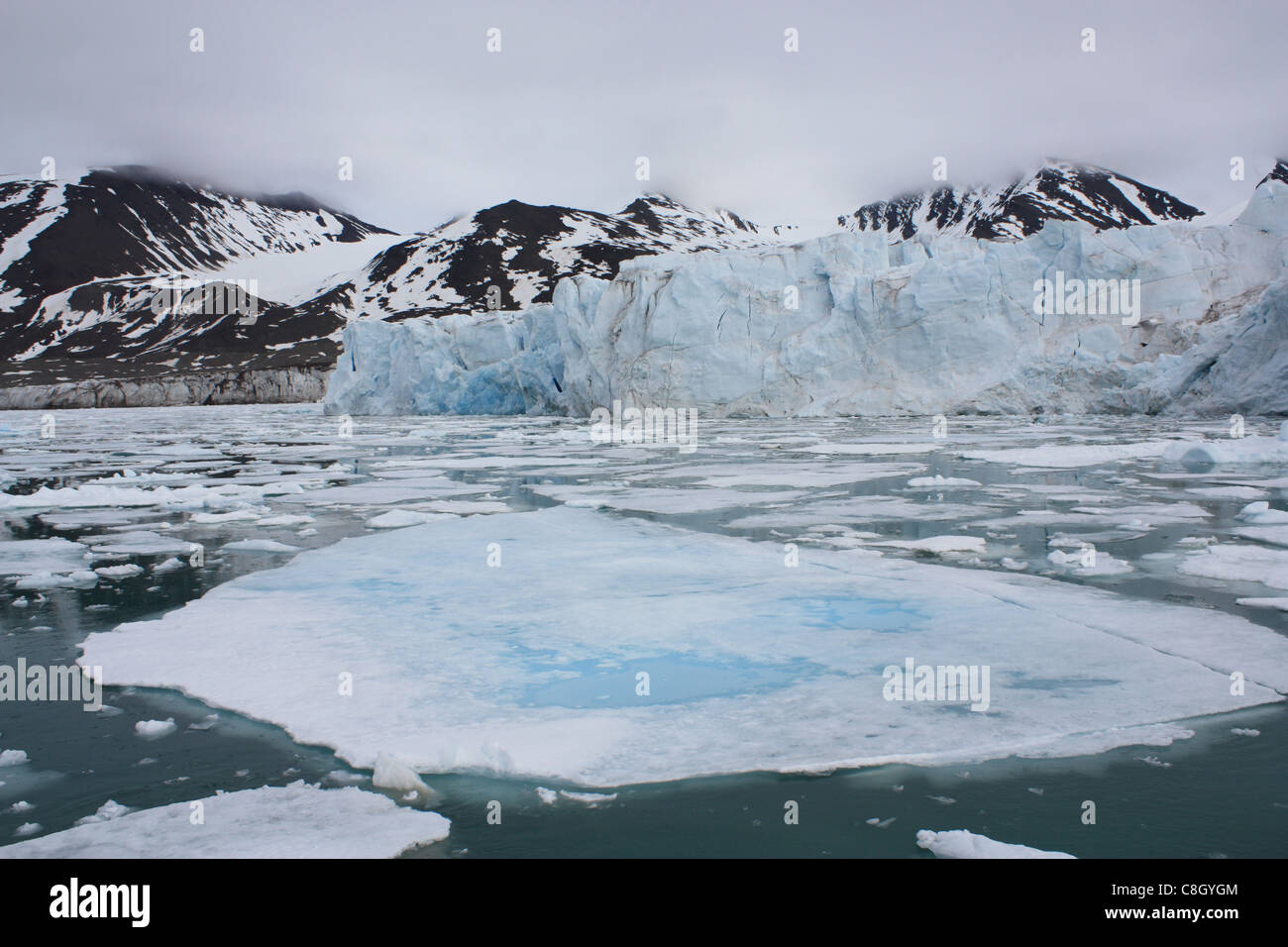 Svalbard, Spitzbergen, Arktis, Norwegen, Europa, Polarregion, Eis, Natur, Landschaft, Insel, Insel, Inseln, Treibeis, Tuxertal Stockfoto