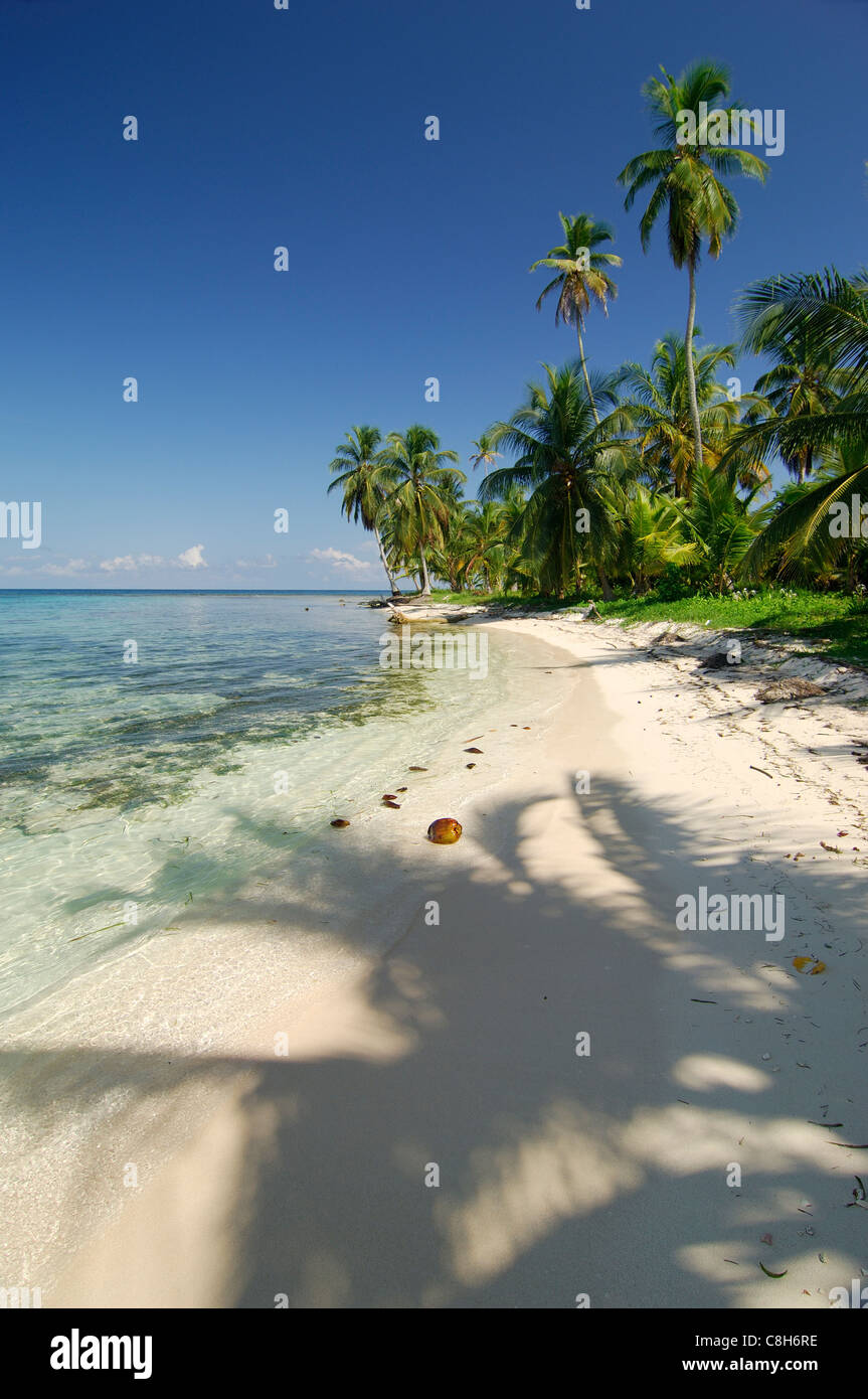 Tropischer Strand, San Blas Archipel, Panama - Stock Foto Stockfoto