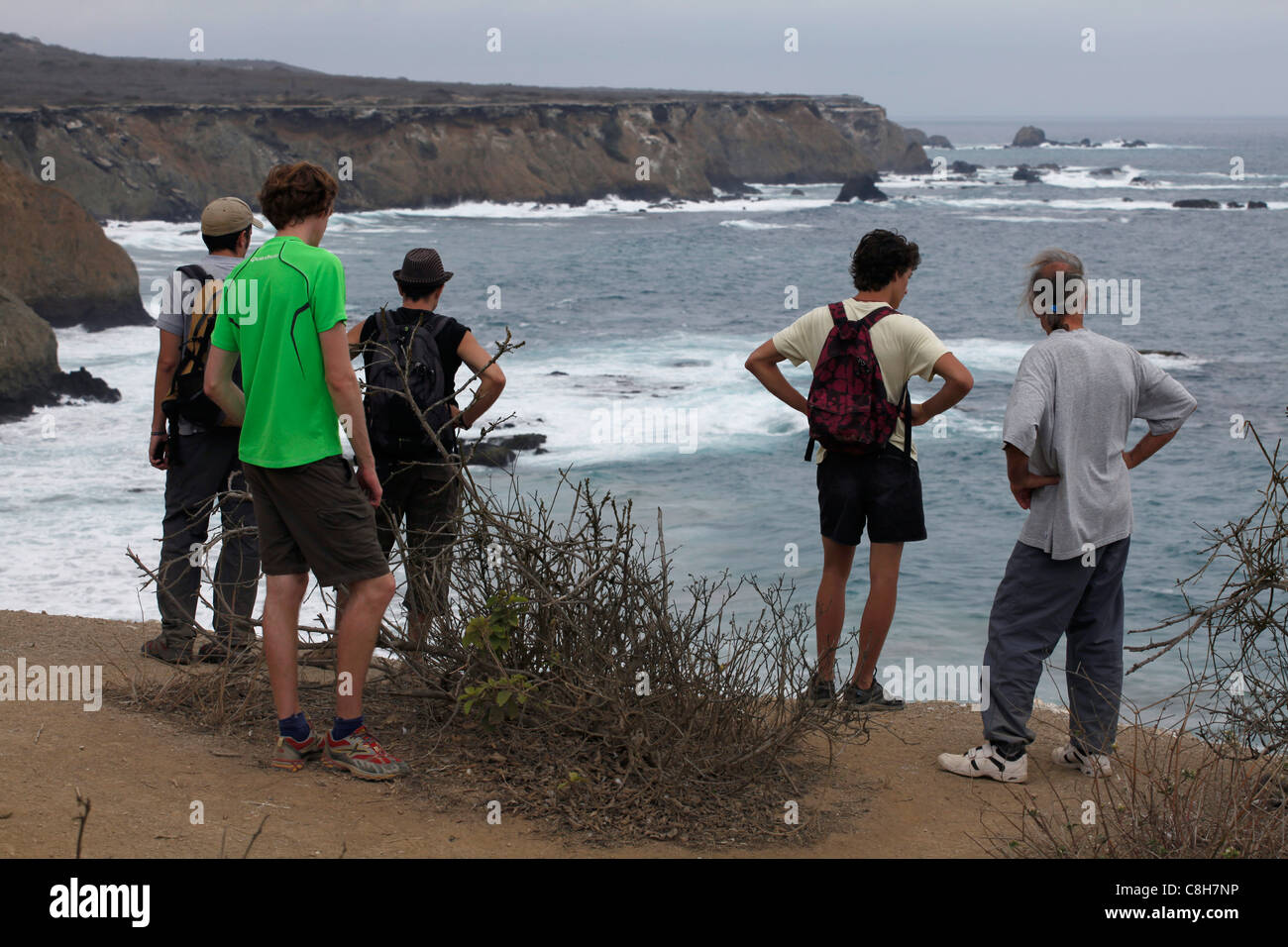 Ecuador.Eco Tourismus in Isla De La Plata Nationalpark an der Pazifikküste, Habitat, Blue footed Tölpel in Vogel-Kolonie. Stockfoto