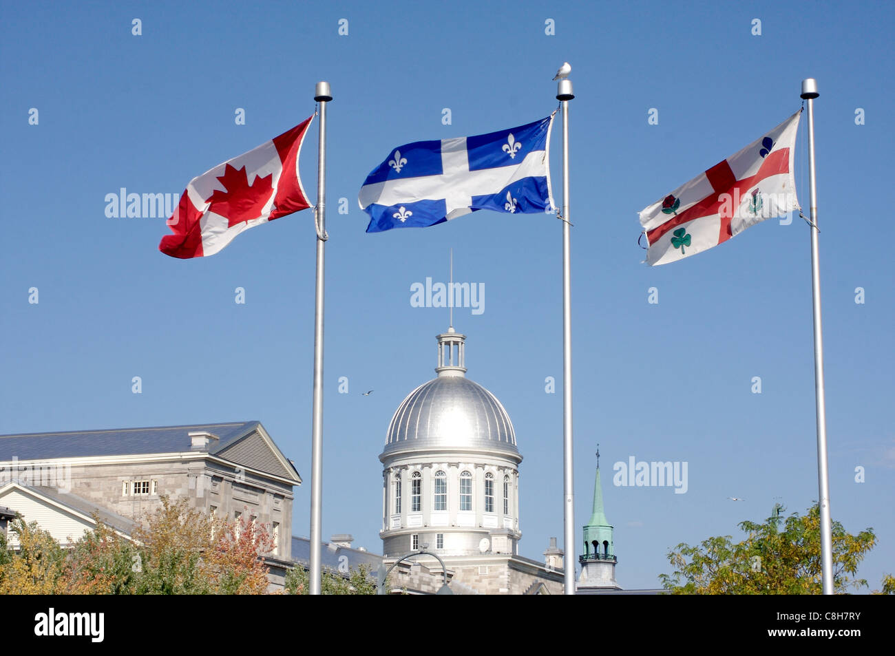 Fahnen für Kanada, fliegen die Provinz Quebec und die Stadt Montreal vor Bonsecours Market dome Stockfoto