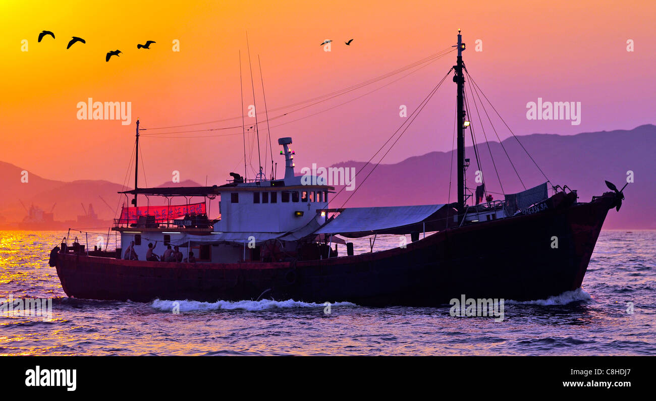 Chinesischen Fischerboot und Reiher bei Sonnenuntergang, Victoria Harbour, Hong Kong, China. Stockfoto