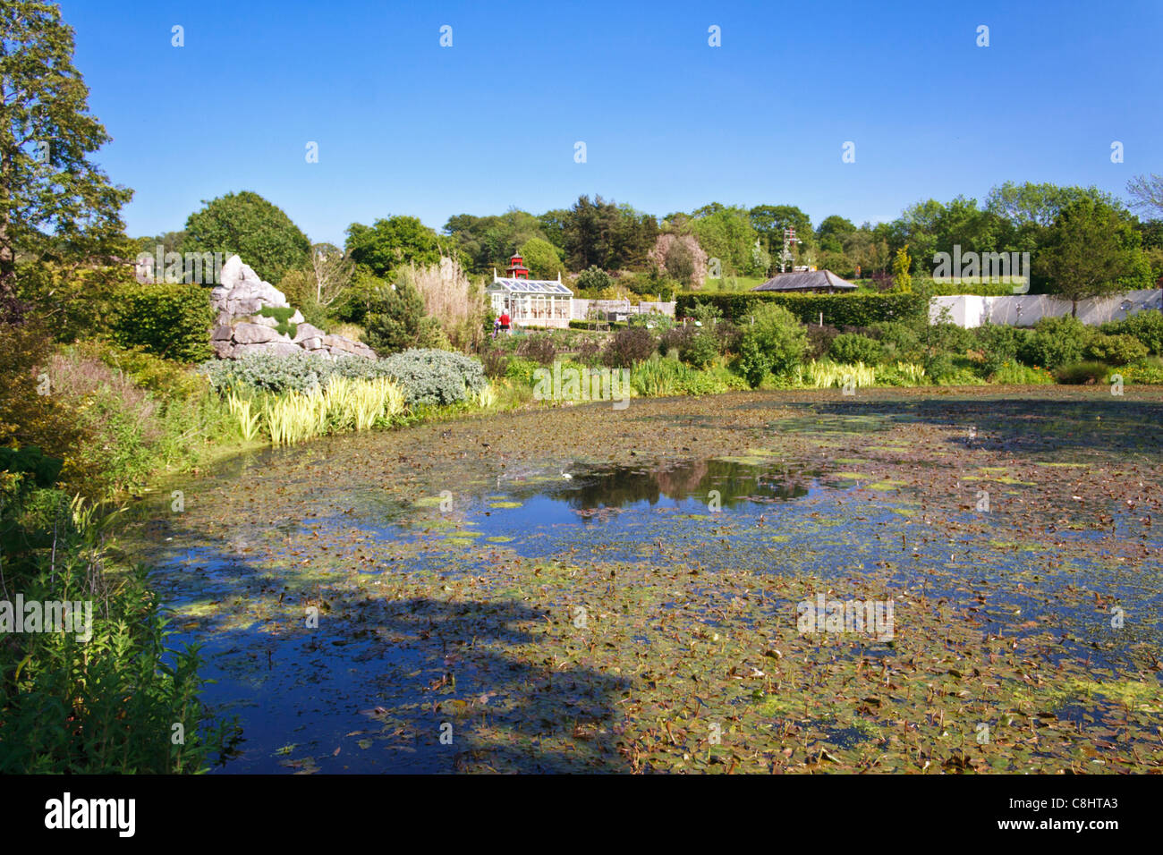 R so Fotos und Bildmaterial in hoher Auflösung Alamy