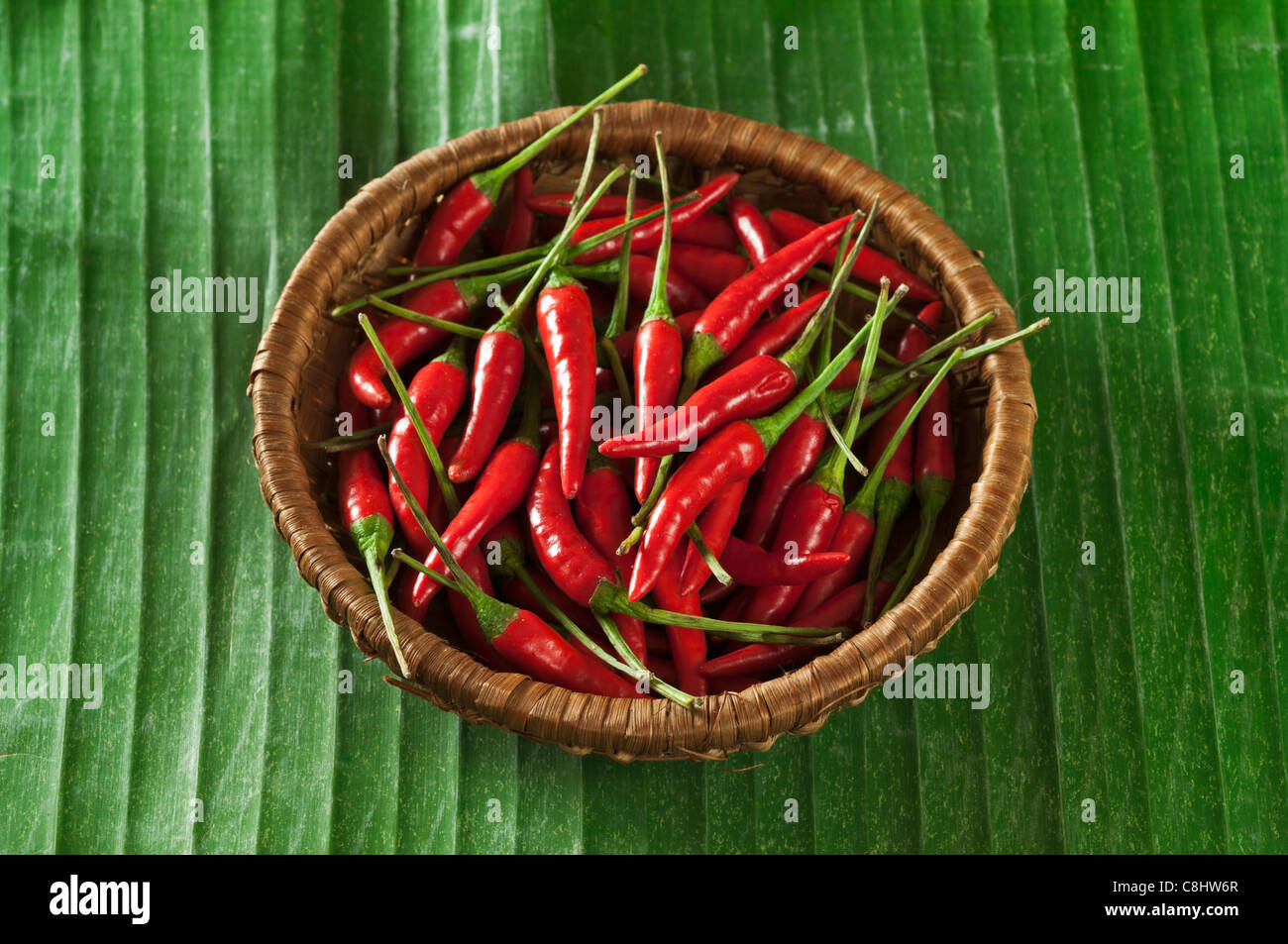 Rote Chilischoten auf Bananenblatt Stockfoto