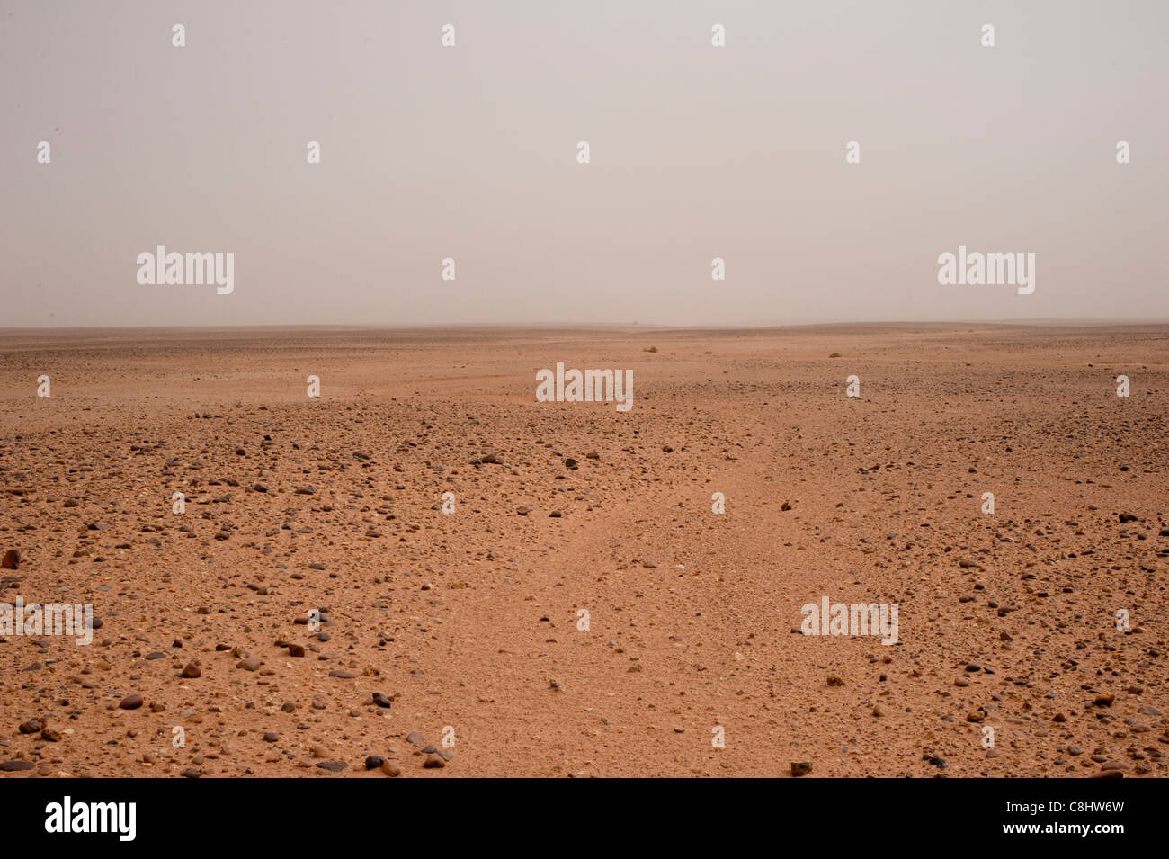 Wüste Sahara zeigt steinige Wüstenlandschaft, Marokko. Stockfoto