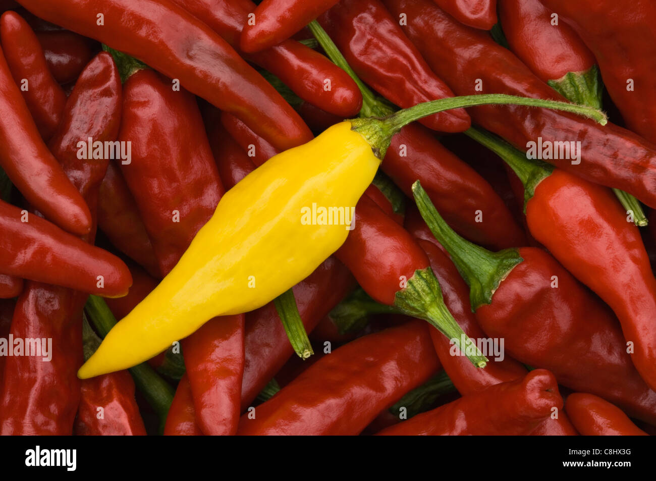 Paprika Stockfoto