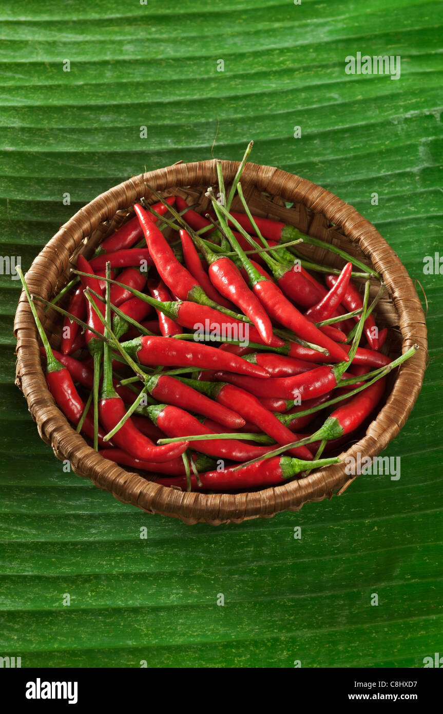 Rote Chilischoten auf Bananenblatt Stockfoto