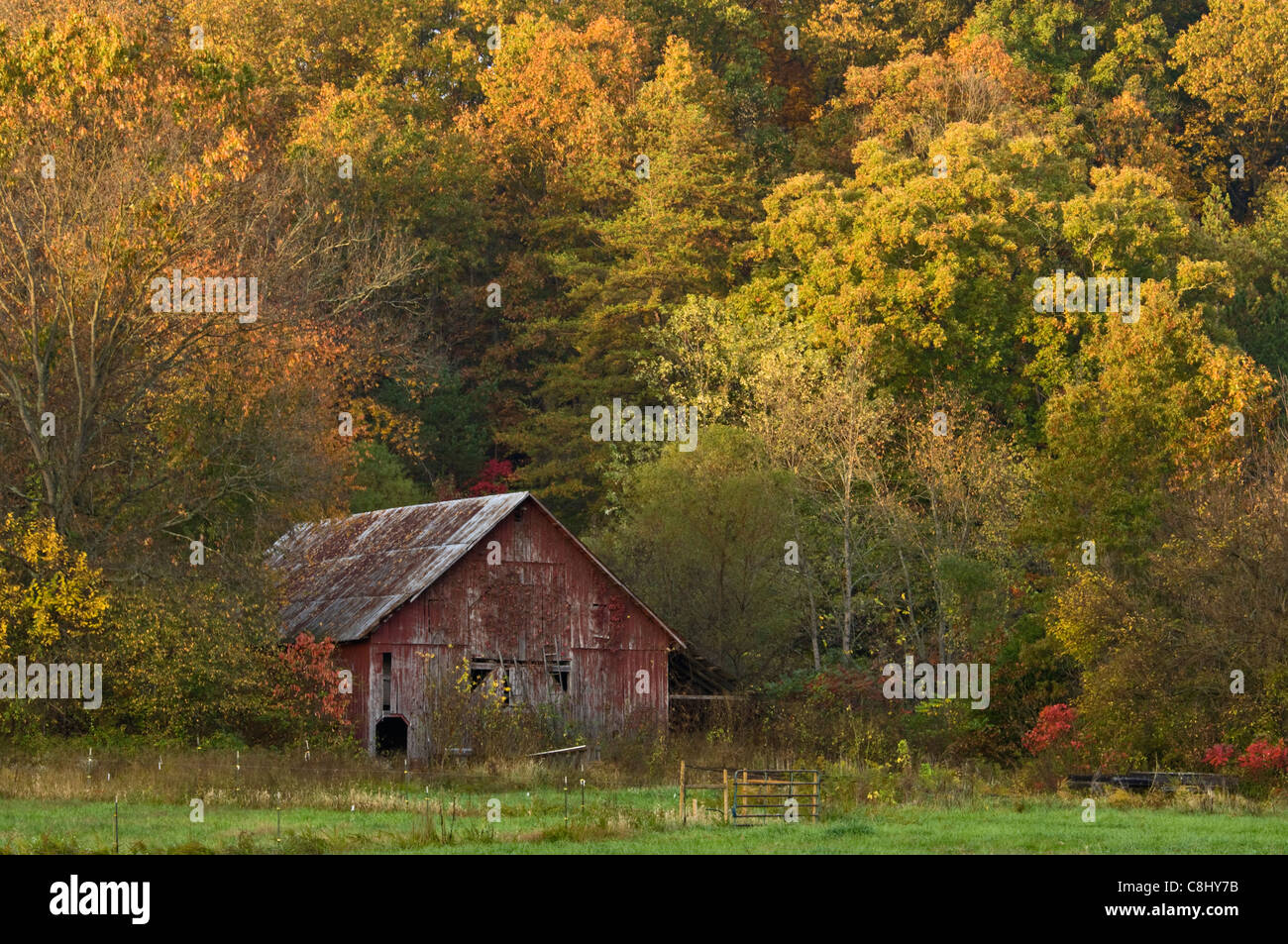 Rote Scheune und Herbst Farbe im Brown County, Indiana Stockfoto