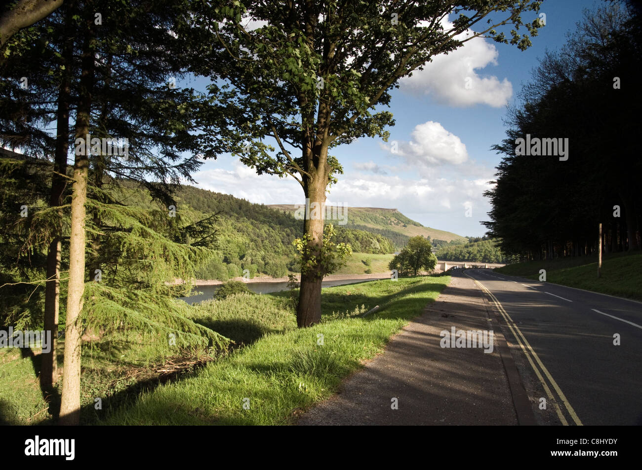 über die Hügel Stockfoto