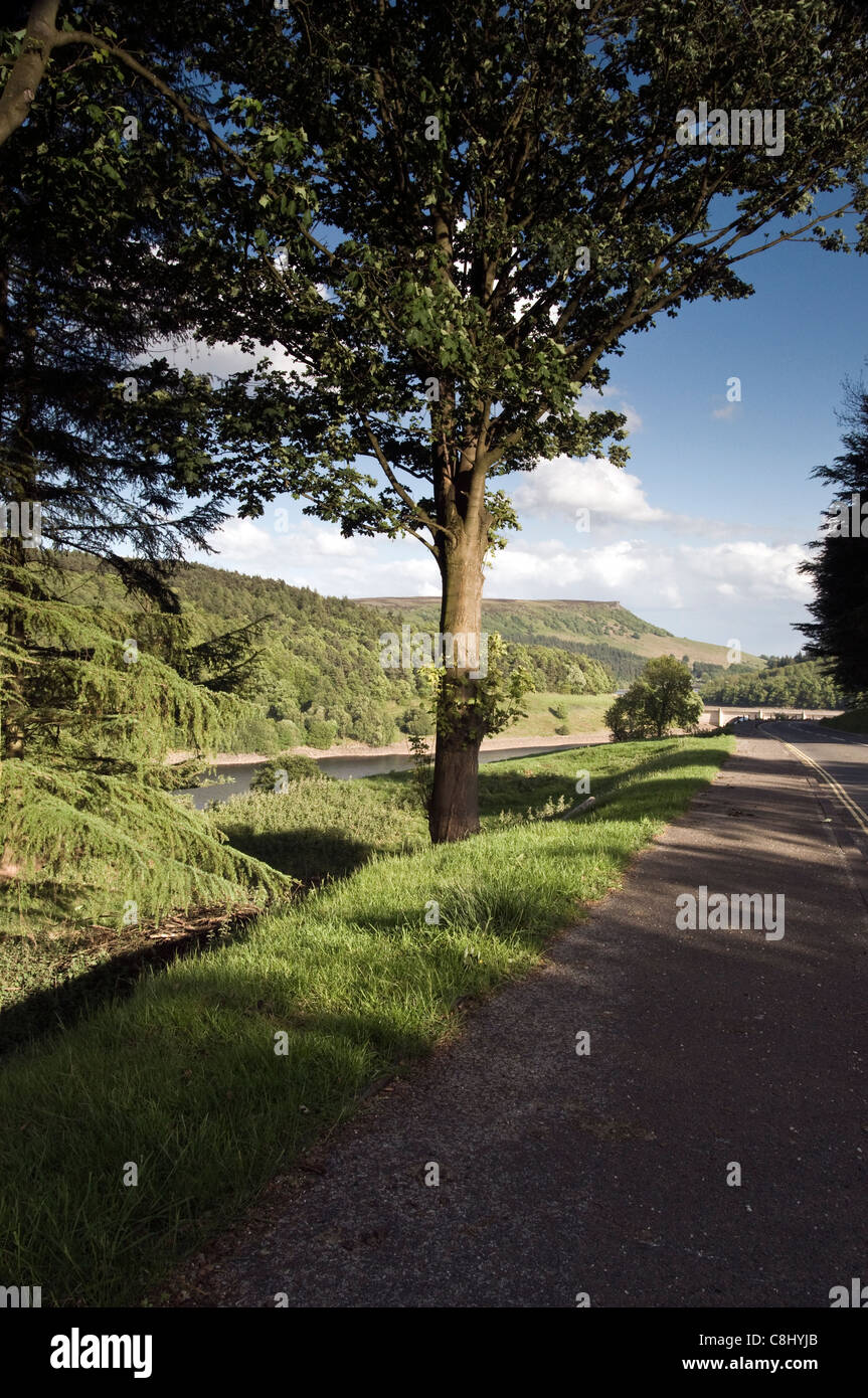 Winkel in den Gipfeln Stockfoto