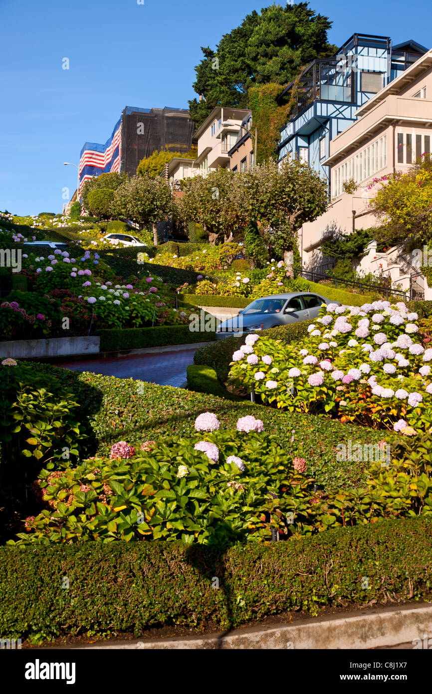 Blumen gesäumten Lombard Street in San Francisco Kalifornien, USA Stockfoto