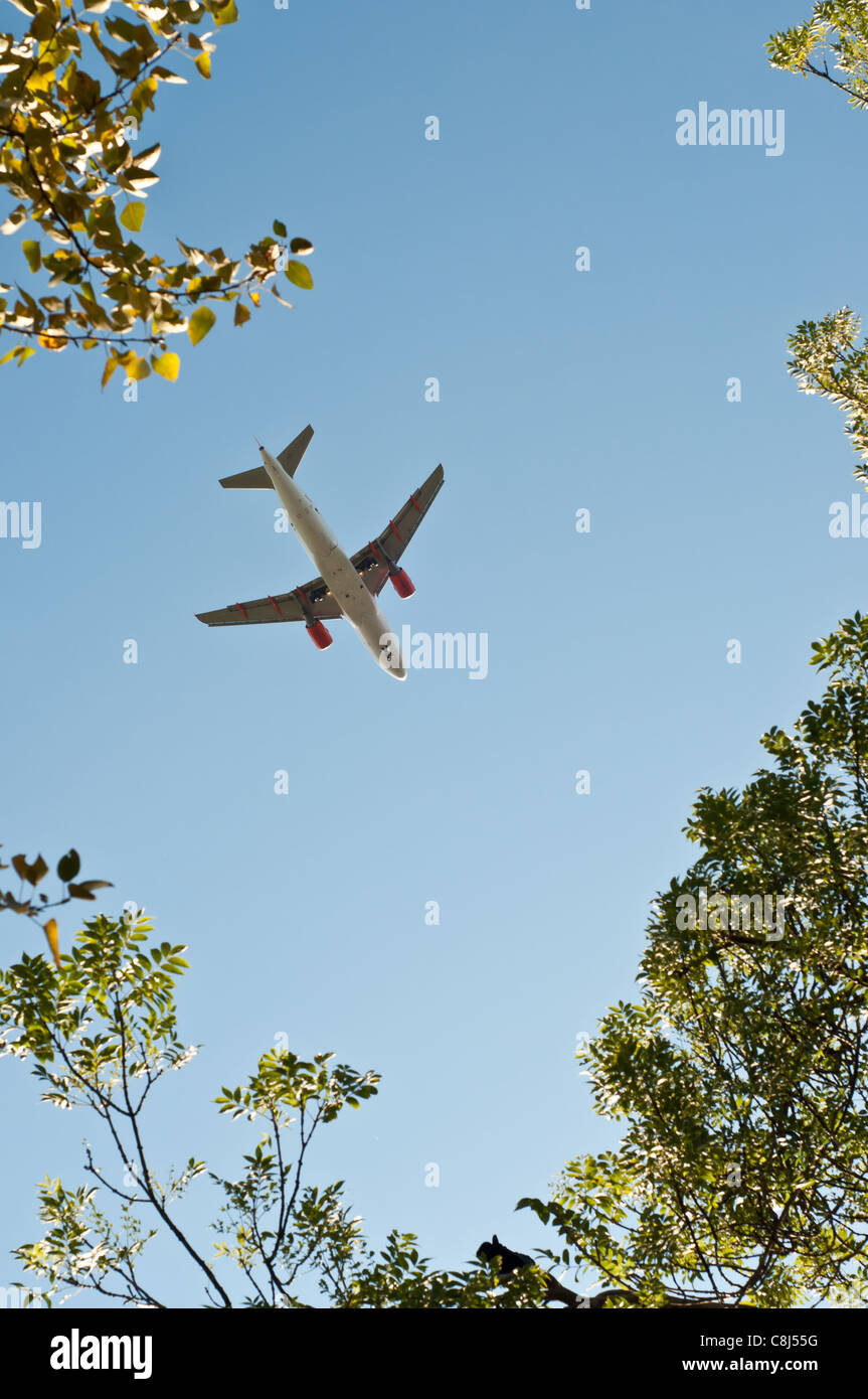 Flugzeug über den Boden genommen durch Bäume Stockfoto