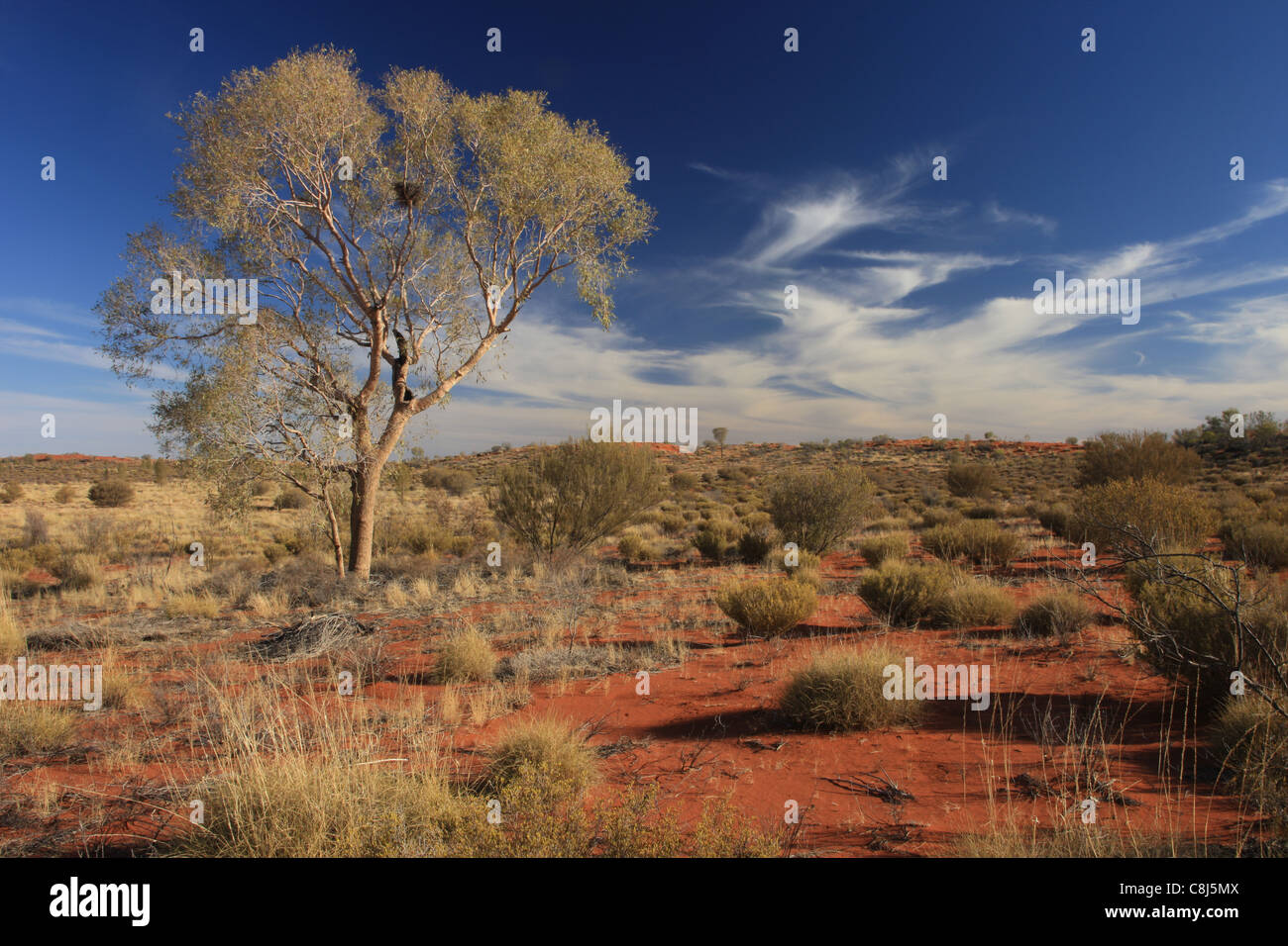 Outback Australien, Landschaft, Aborigines, australische Wüste, down under, Northern Territory, Zentralaustralien, Red Centre, Dre Stockfoto