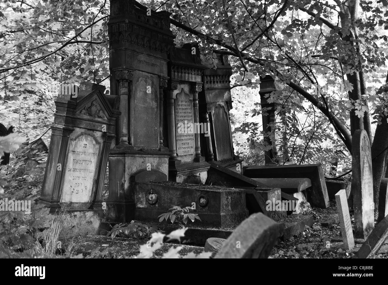Alte jüdische Friedhof in Lodz, Polen. Alte Gräber mit jüdischen Inschriften im Schatten. Stockfoto
