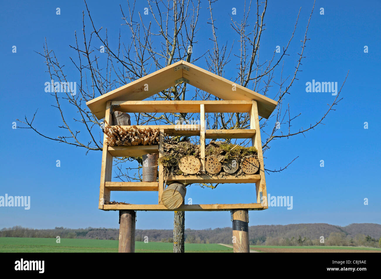 Bienen, Brutstätte, Holz, Insekten, Natur, Nest, Nistkästen, Nistplatz, Website, Wildbienen, Brutstätte, Holz, Insekten, Natur, Nest, n Stockfoto