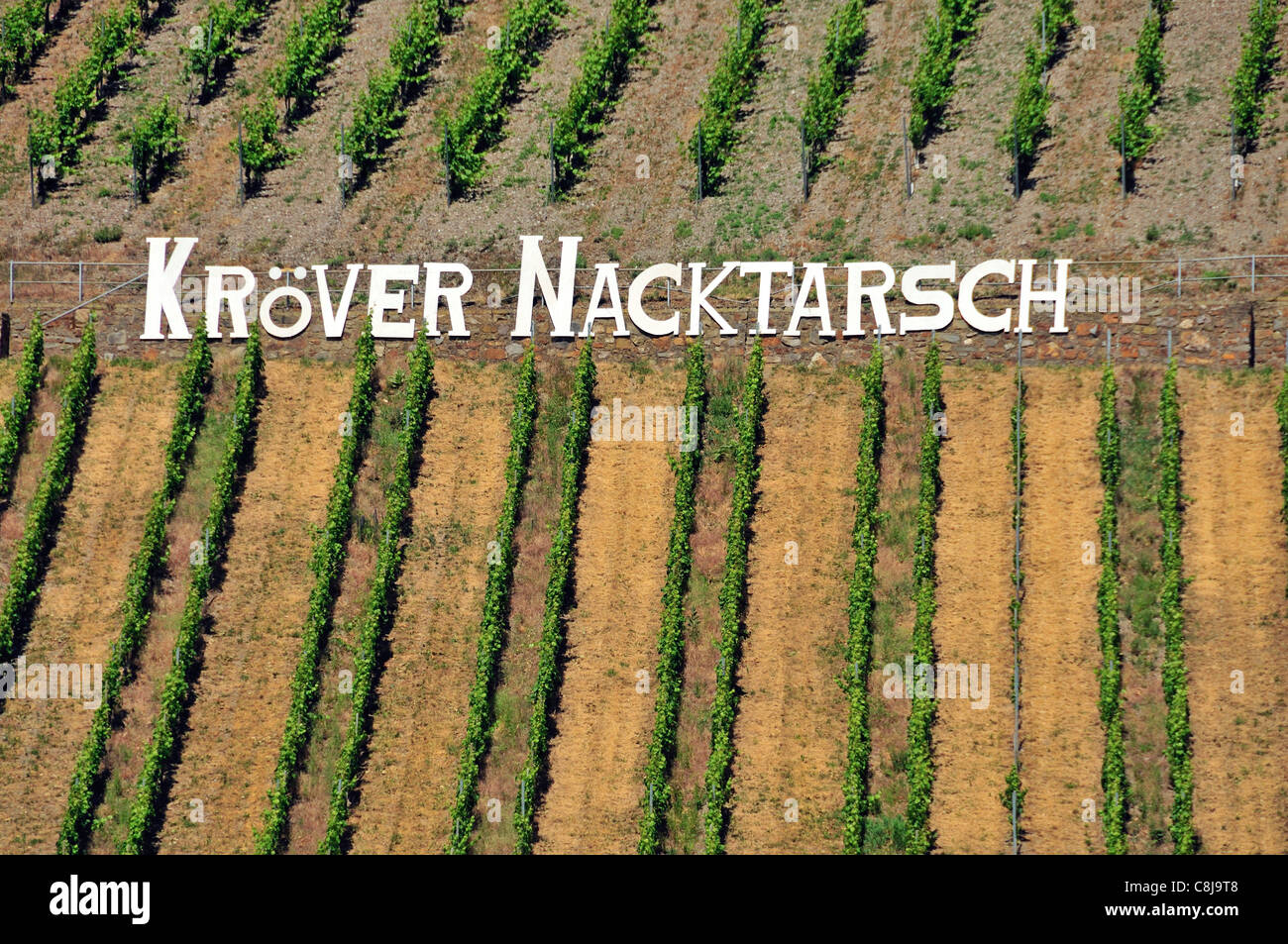 Wein anbau mosel Fotos und Bildmaterial in hoher Auflösung Alamy